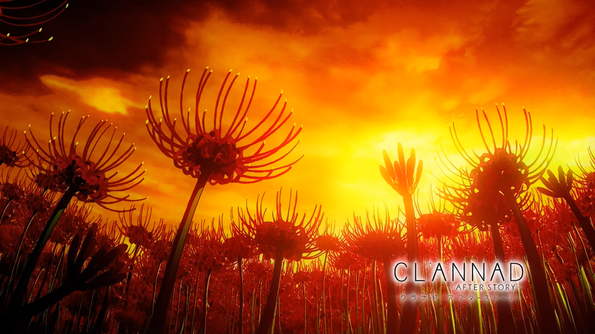 Clannad After Story anime title card with red spider lilies HD Wallpaper