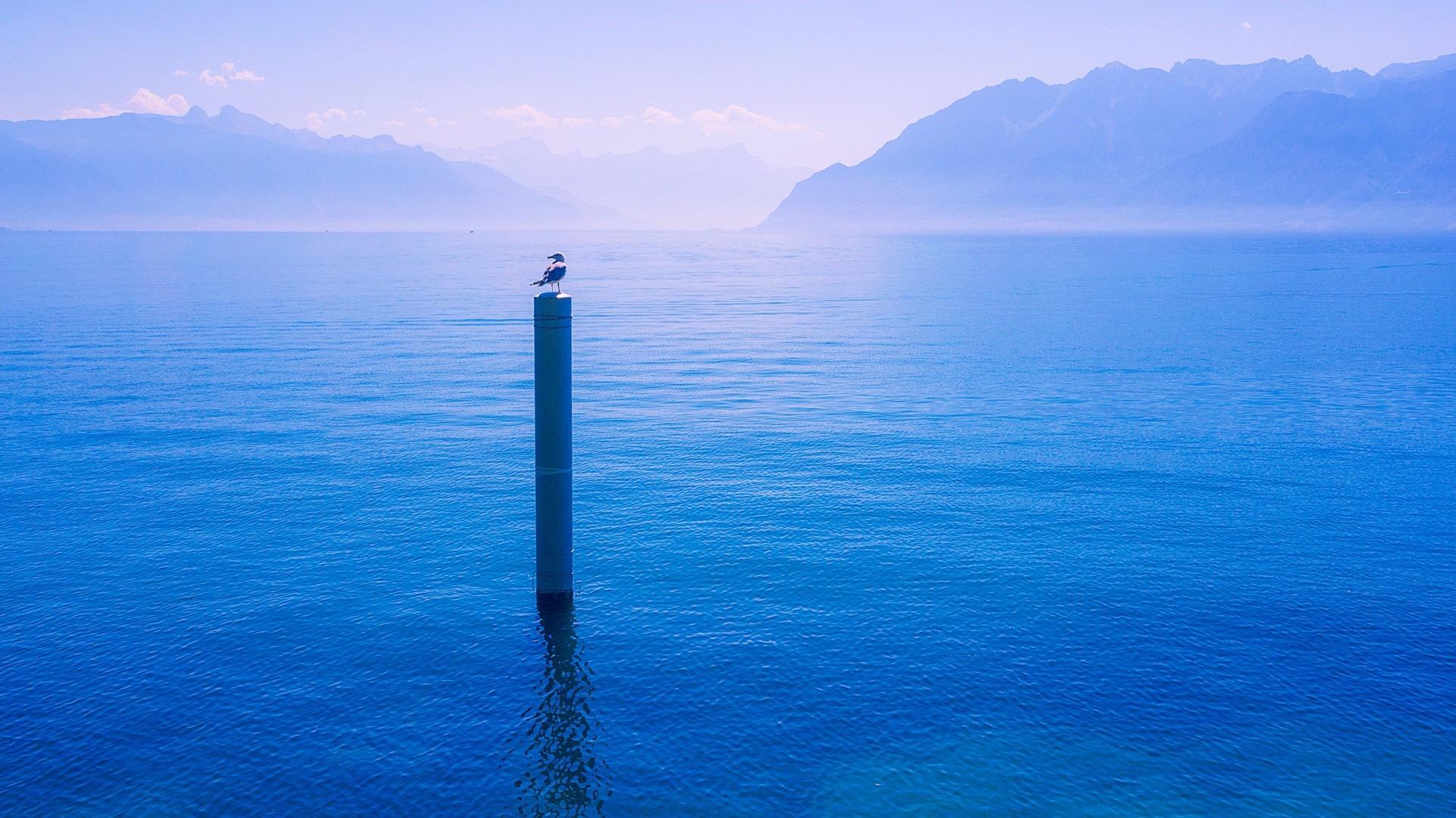 Bird on a post in Lake Geneva, Switzerland HD Wallpaper