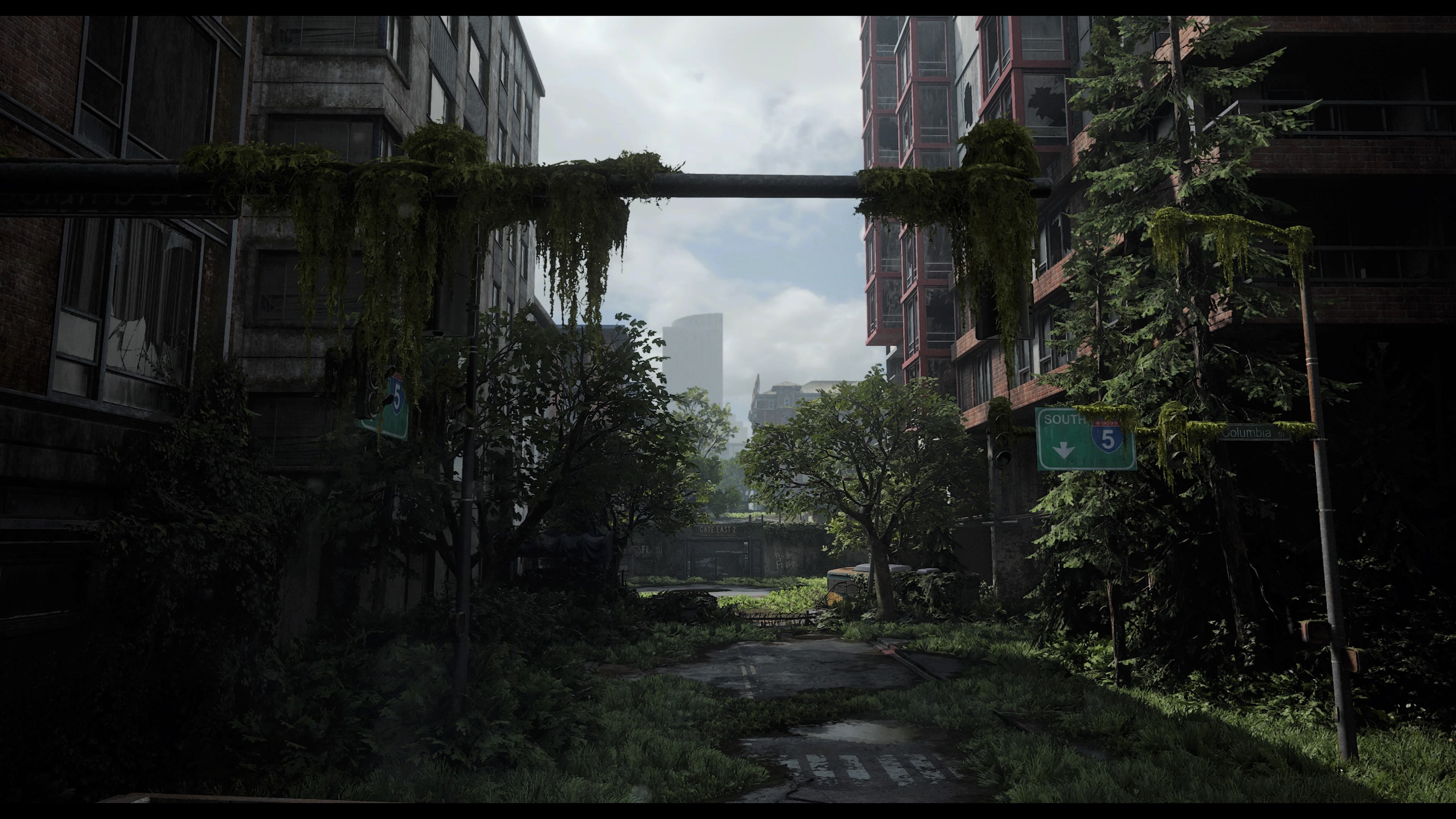 The Last of Us 2 4K HD Wallpaper