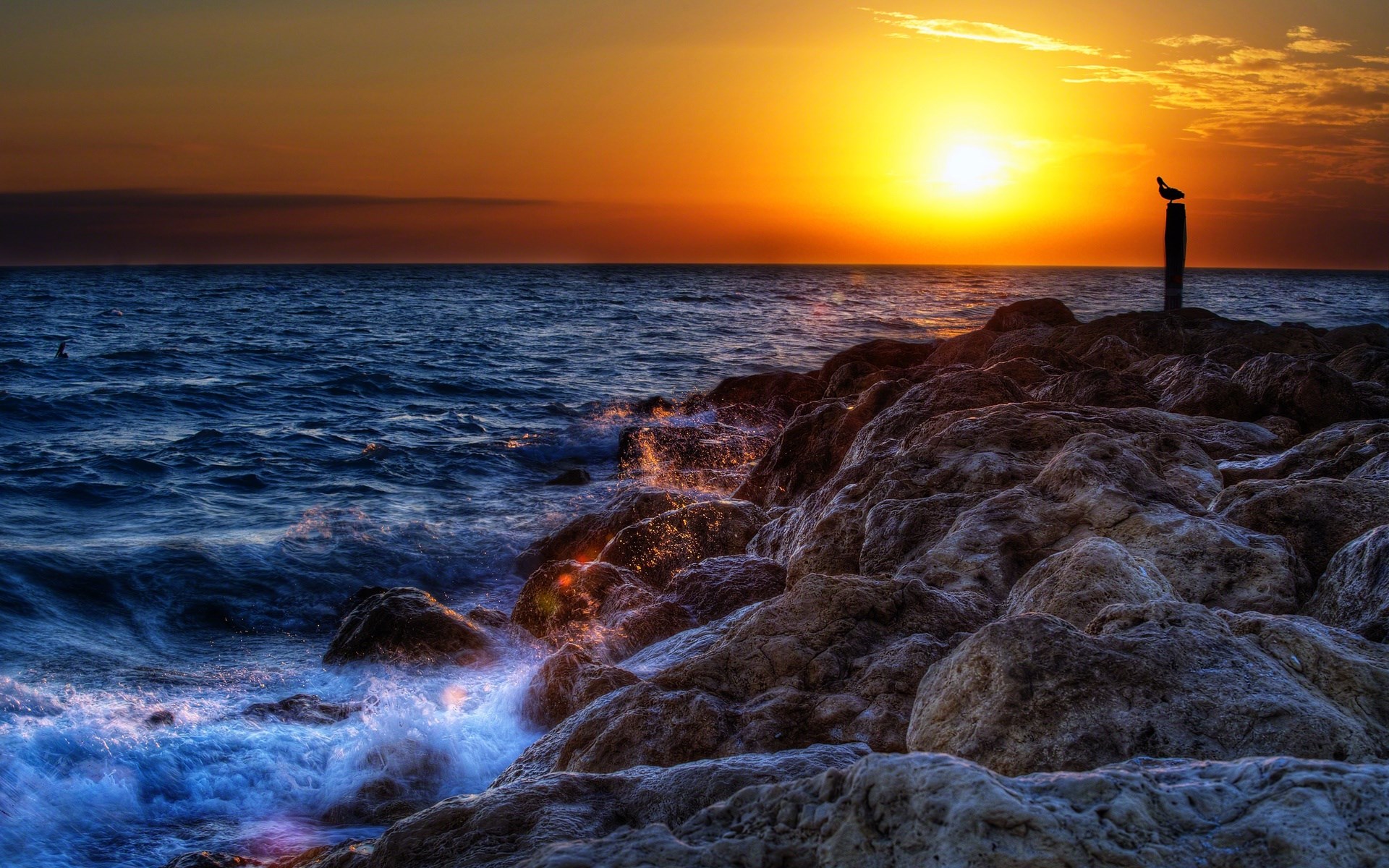 Seagull on post at sunset over rocky shore HD Wallpaper