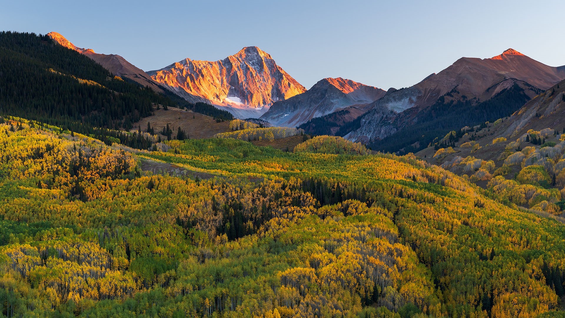 Golden Aspen Forest Below Sunlit Colorado Mountains HD Wallpaper