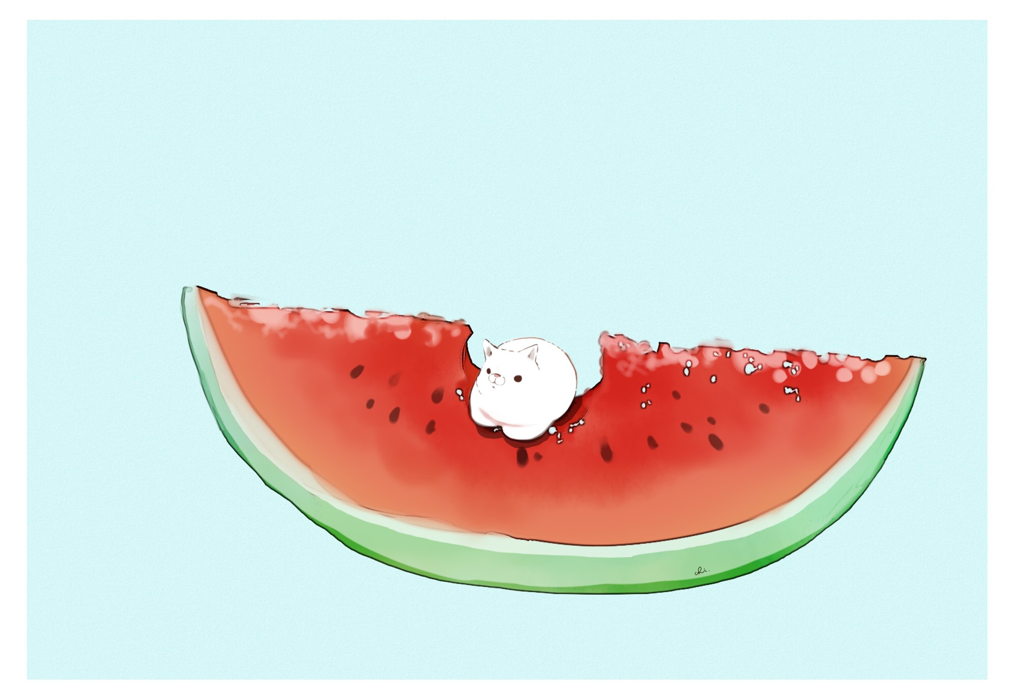 A small white cat sits on a slice of watermelon HD Wallpaper