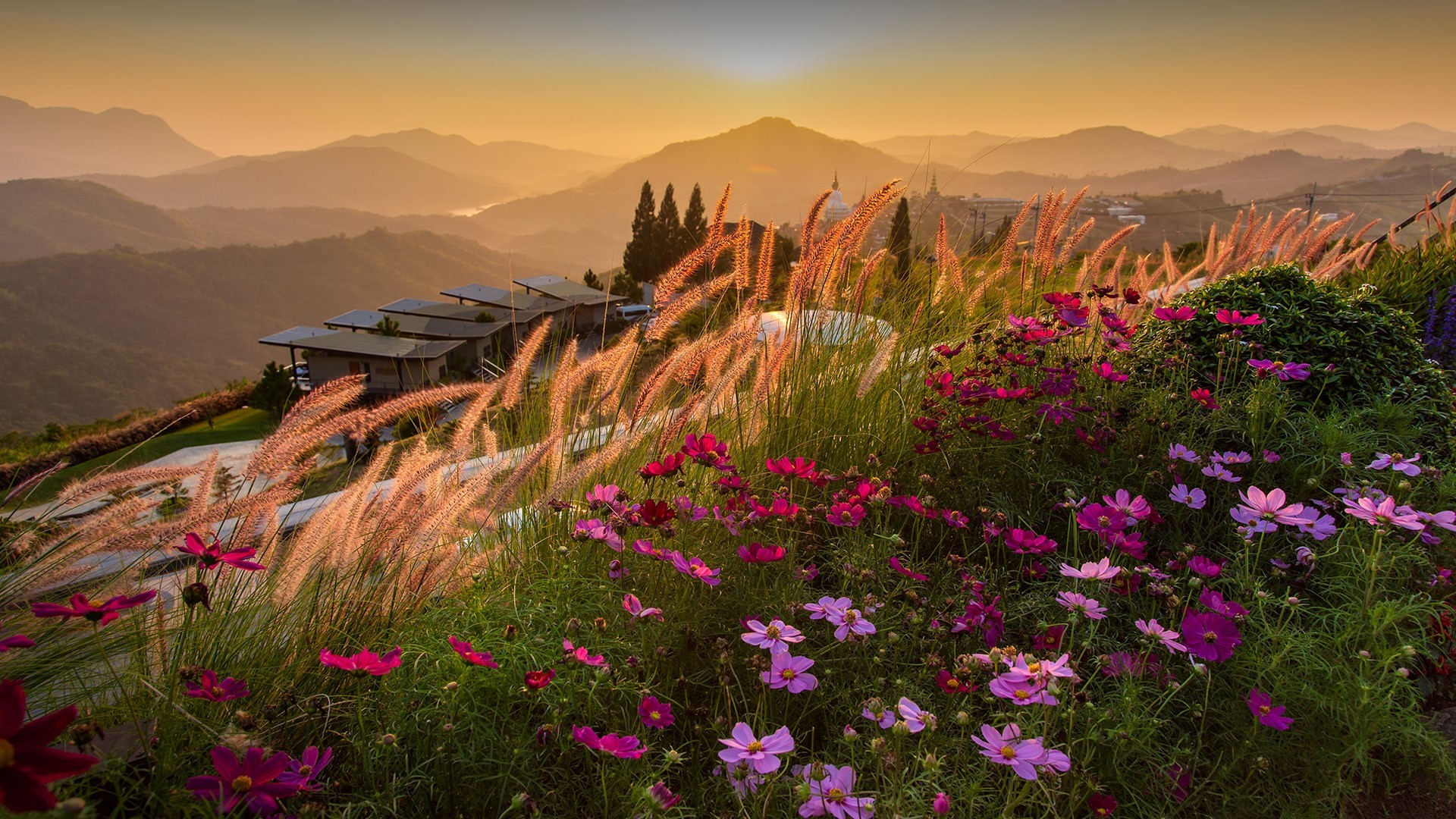 Houses on a mountain slope with flowers at sunset HD Wallpaper
