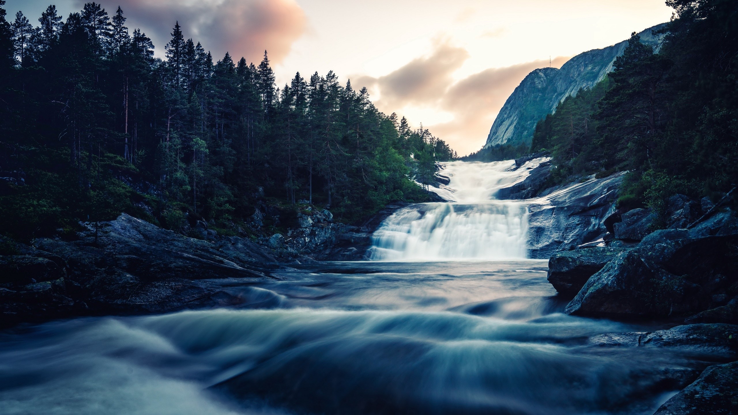 Waterfall flowing through a forest with mountains HD Wallpaper