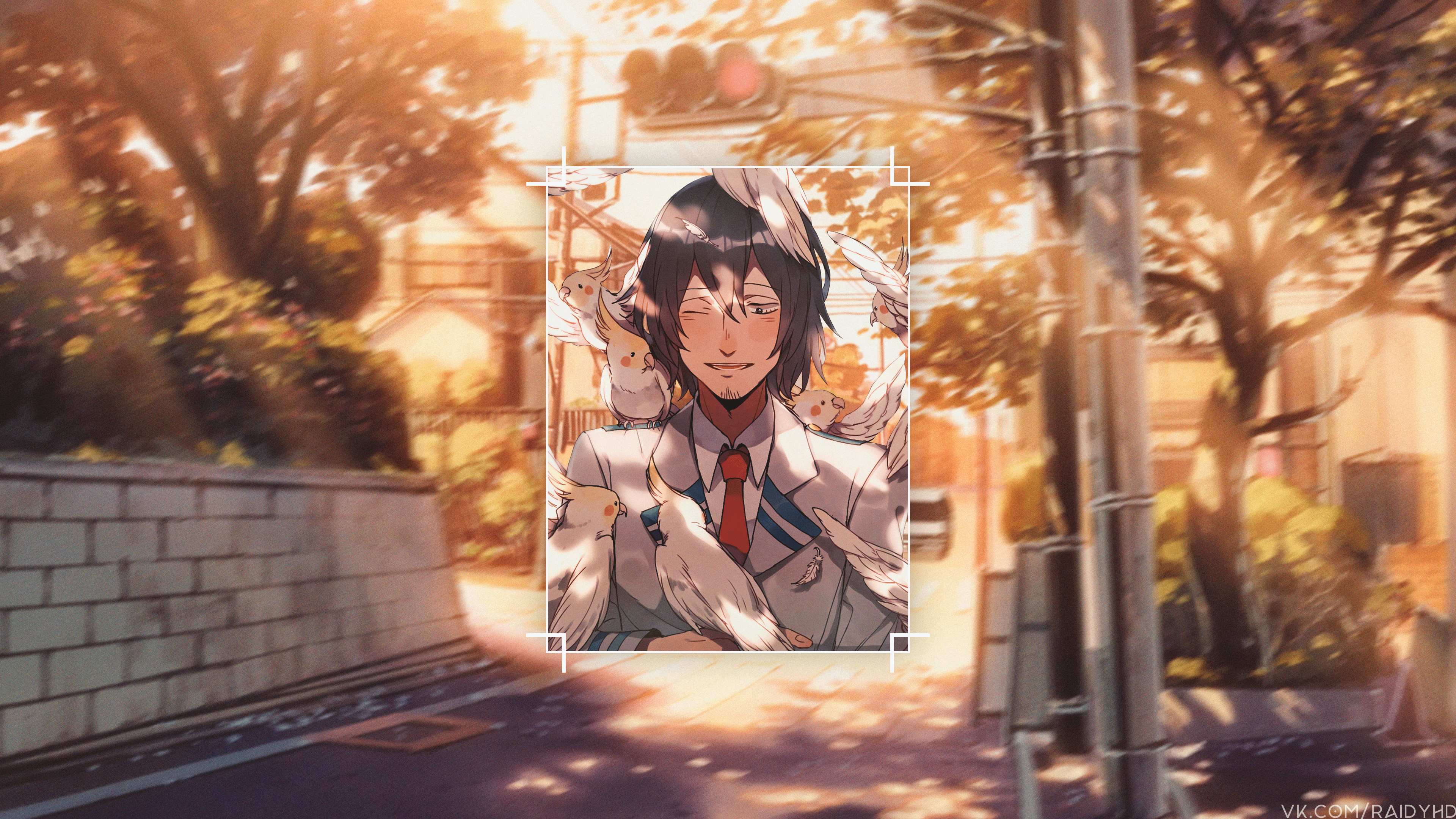 Shota Aizawa from Boku no Hero Academia with cockatiels HD Wallpaper