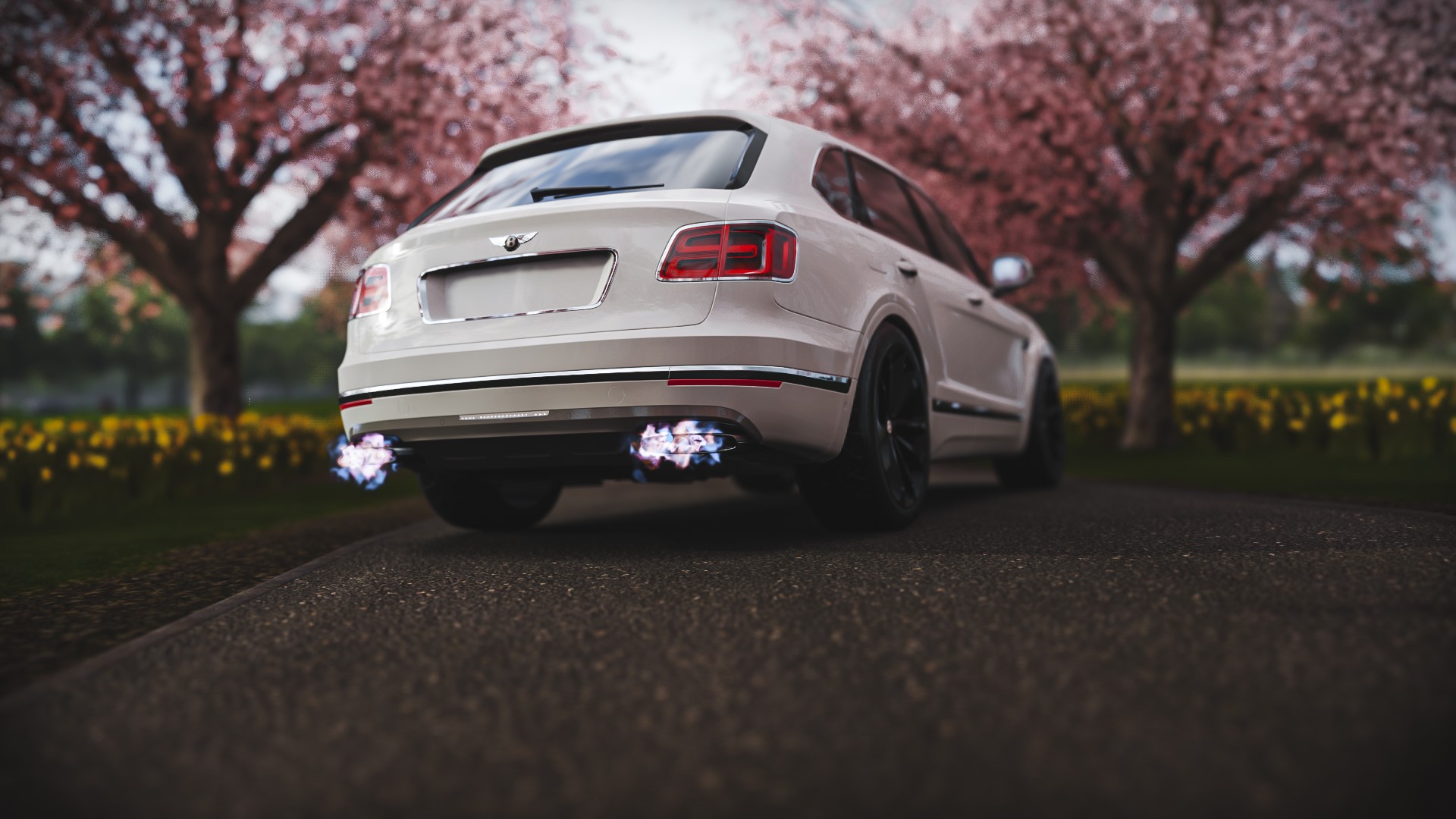 White Bentley Bentayga with flaming exhaust in Forza Horizon 4 HD Wallpaper