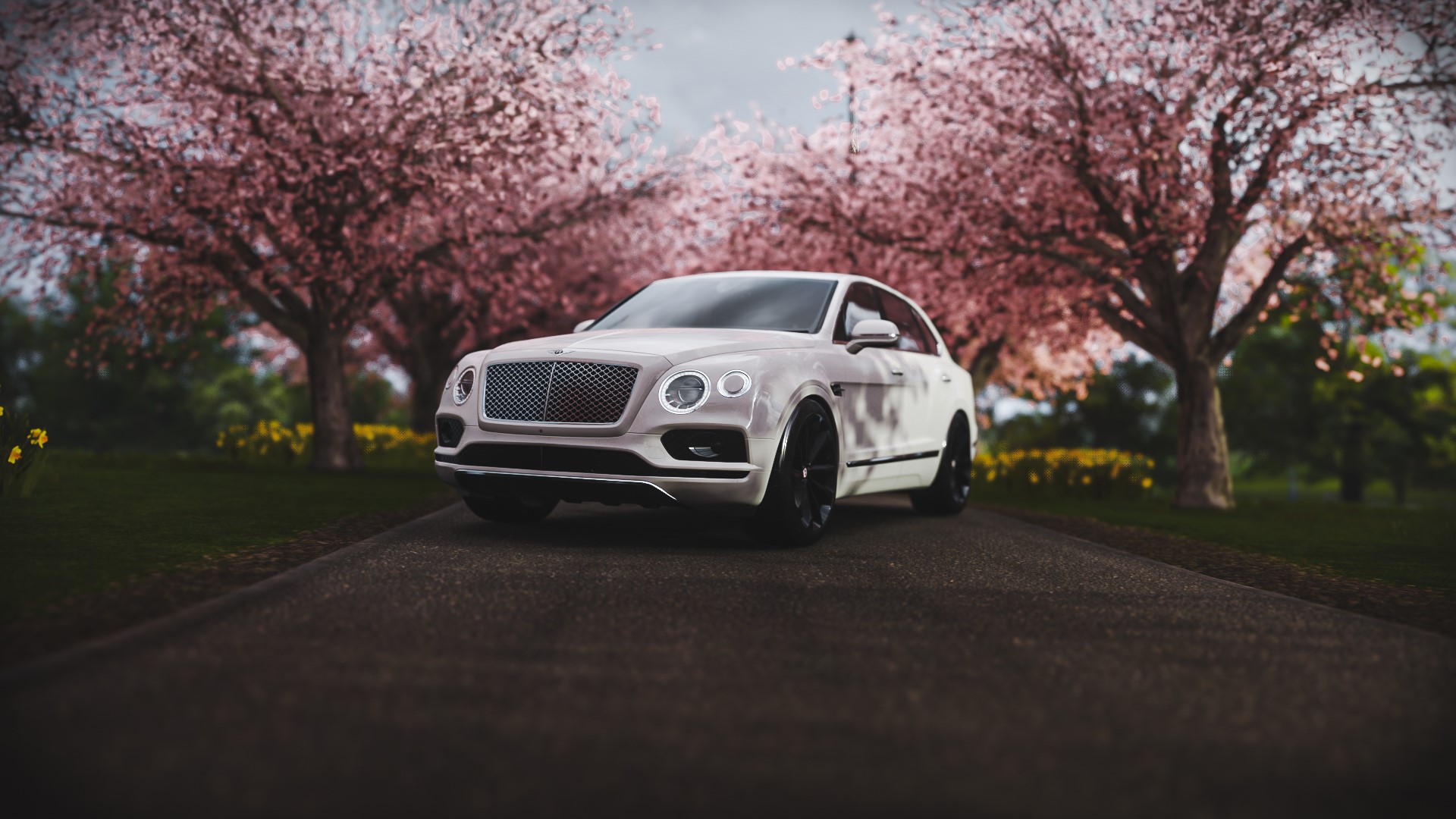 Bentley Bentayga in Forza Horizon 4 HD Wallpaper