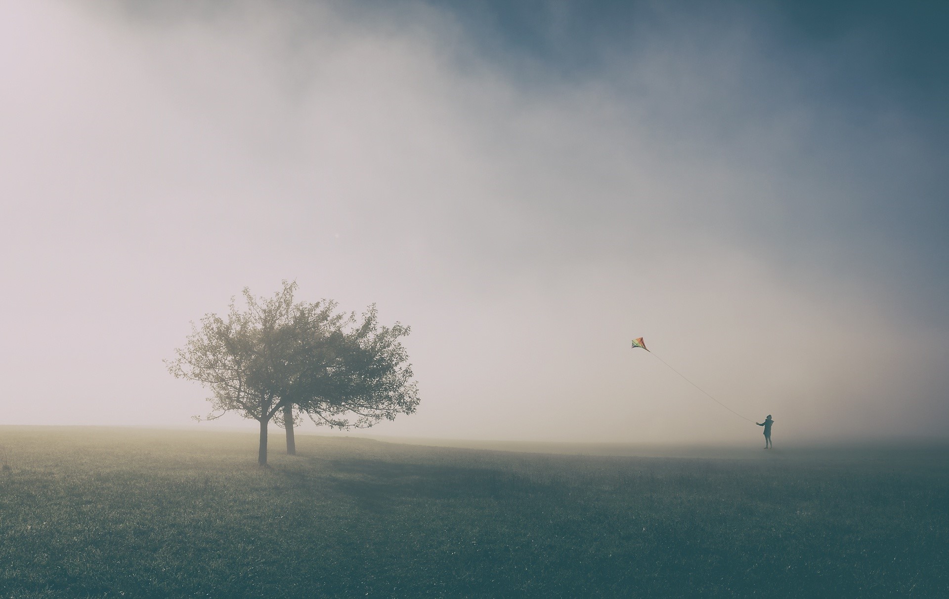 Child flying a kite in a foggy field with trees HD Wallpaper