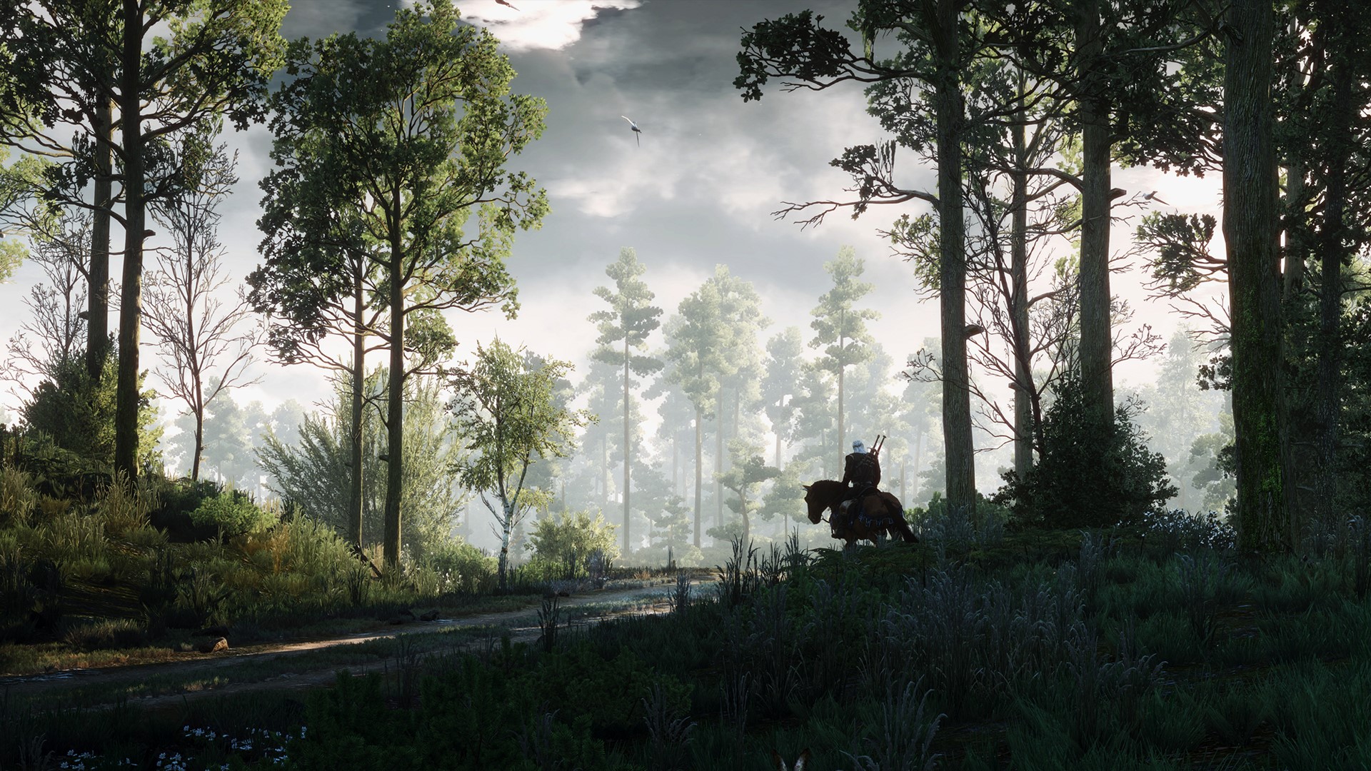 Geralt of Rivia from The Witcher 3: Wild Hunt on horseback in a forest HD Wallpaper