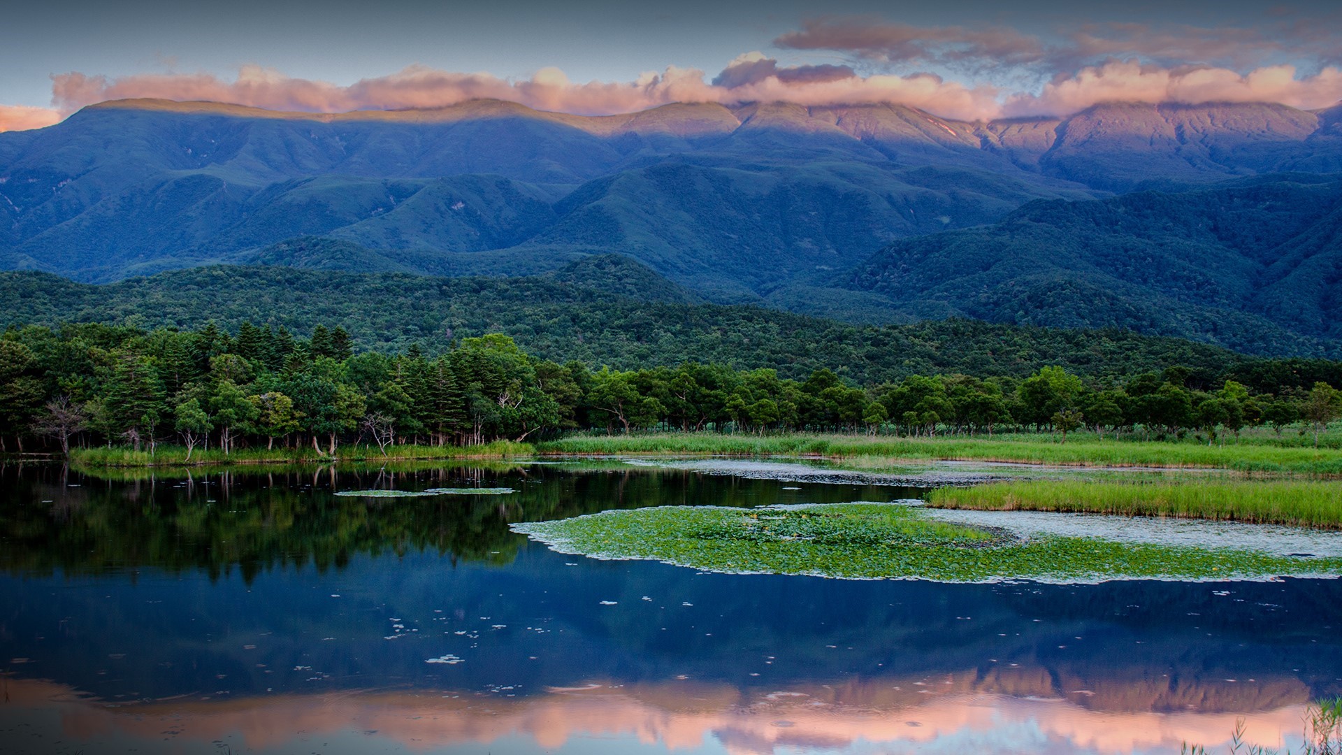 Mountains and forest reflected in a calm lake in Japan HD Wallpaper
