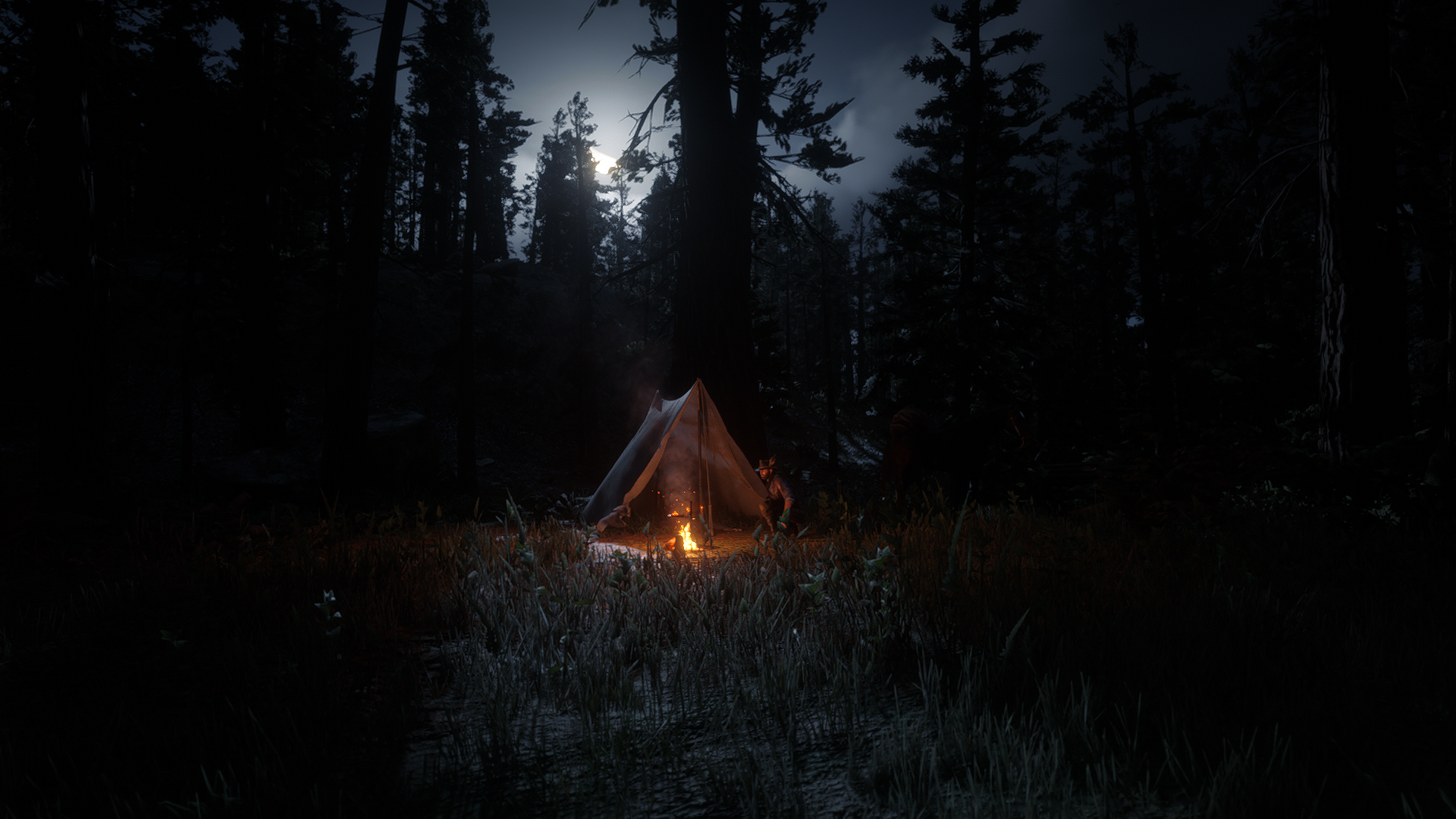 Camping in Red Dead Redemption 2 at night HD Wallpaper