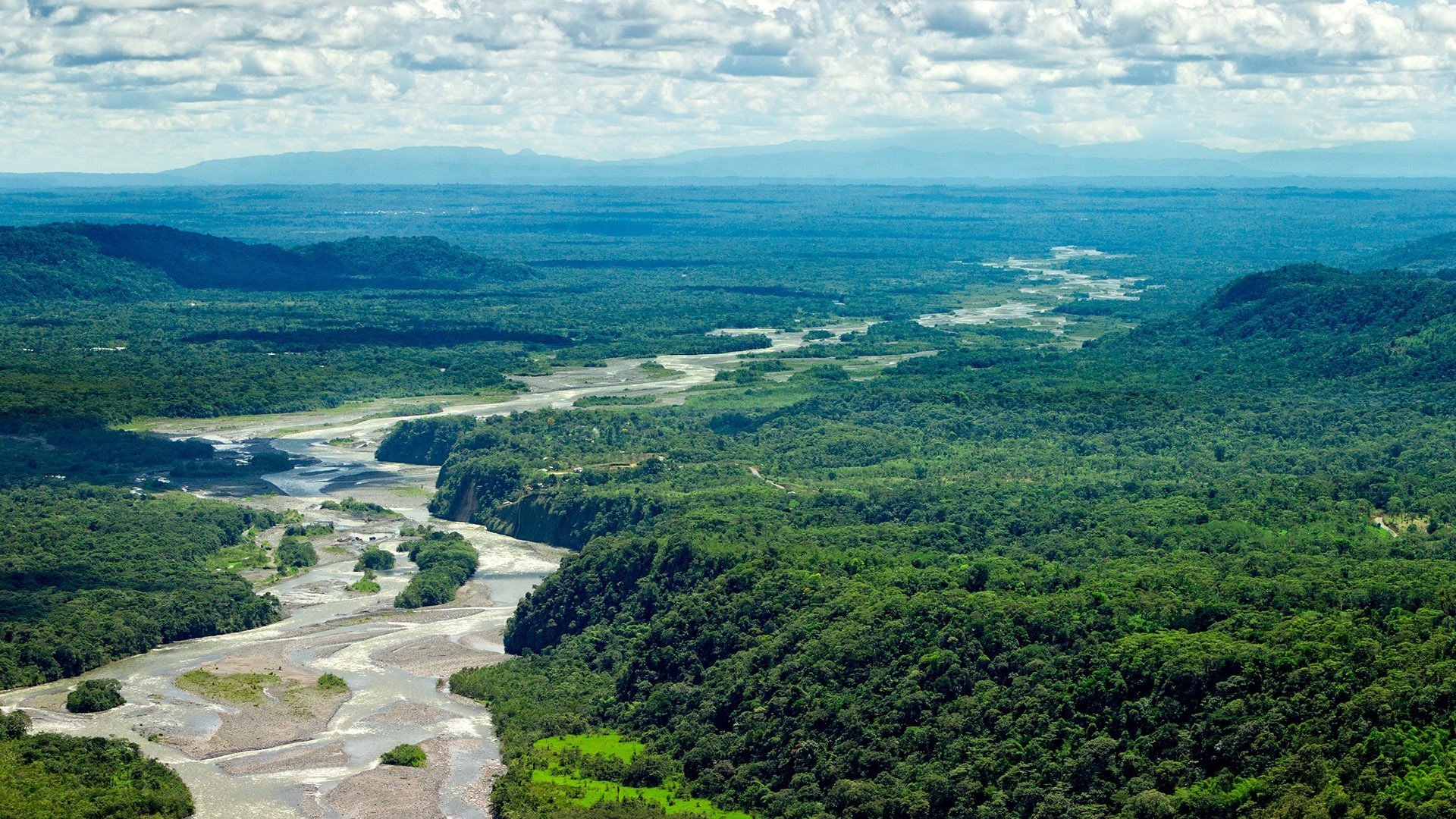Aerial view of a river flowing through a lush green forest in Ecuador HD Wallpaper