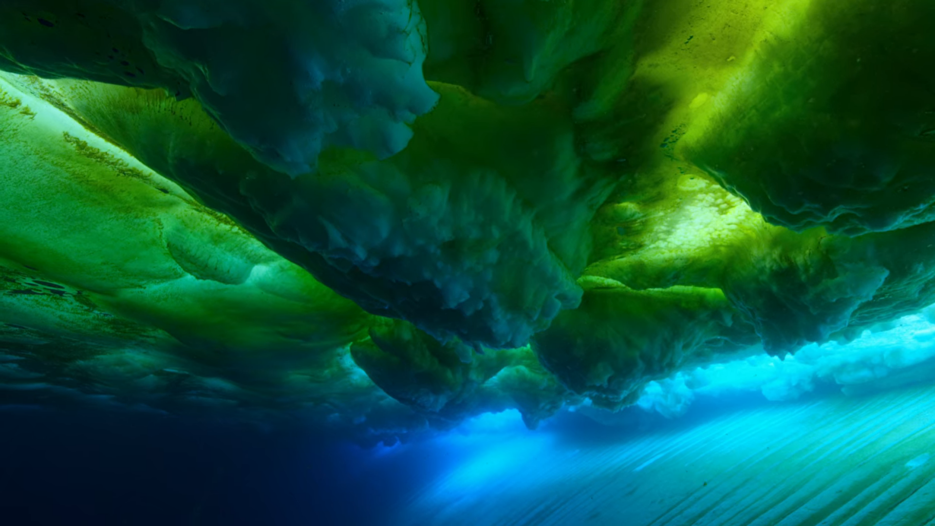 Underwater ice formations with algae in the Pacific Ocean HD Wallpaper