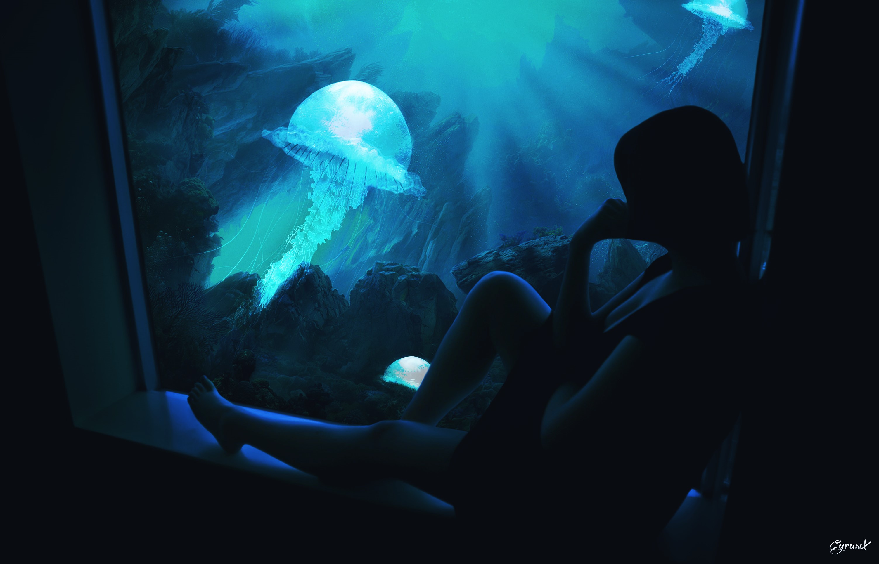 Silhouette of a person looking at jellyfish in a dark aquarium HD Wallpaper