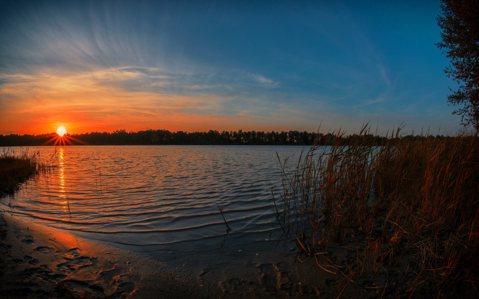 Sunset over a calm lake with reeds HD Wallpaper