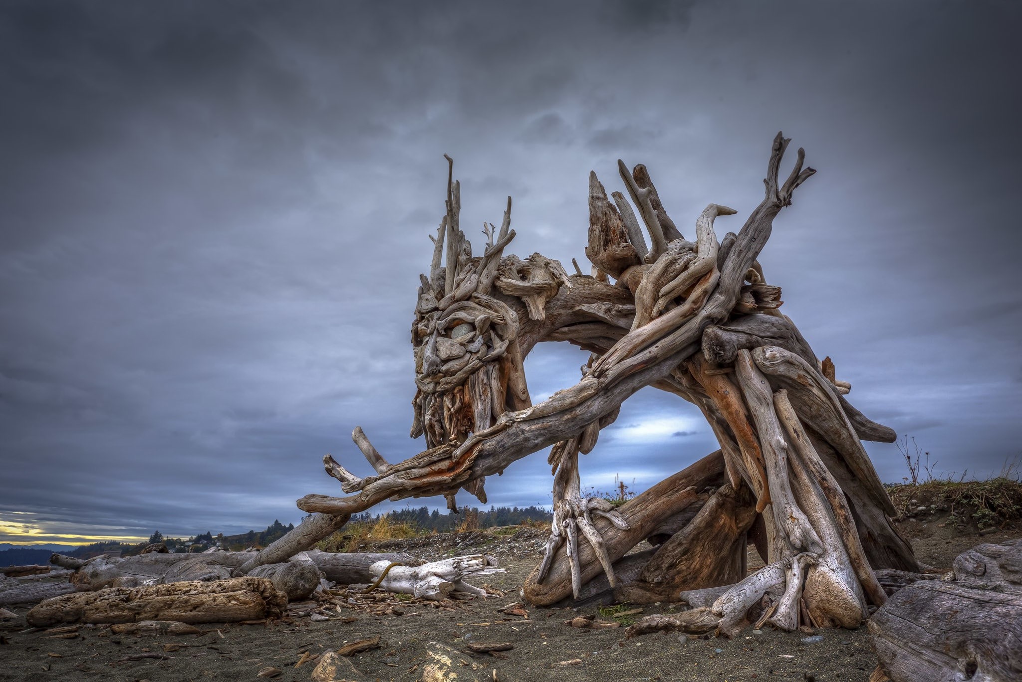 Driftwood sculpture resembling a face on a beach HD Wallpaper