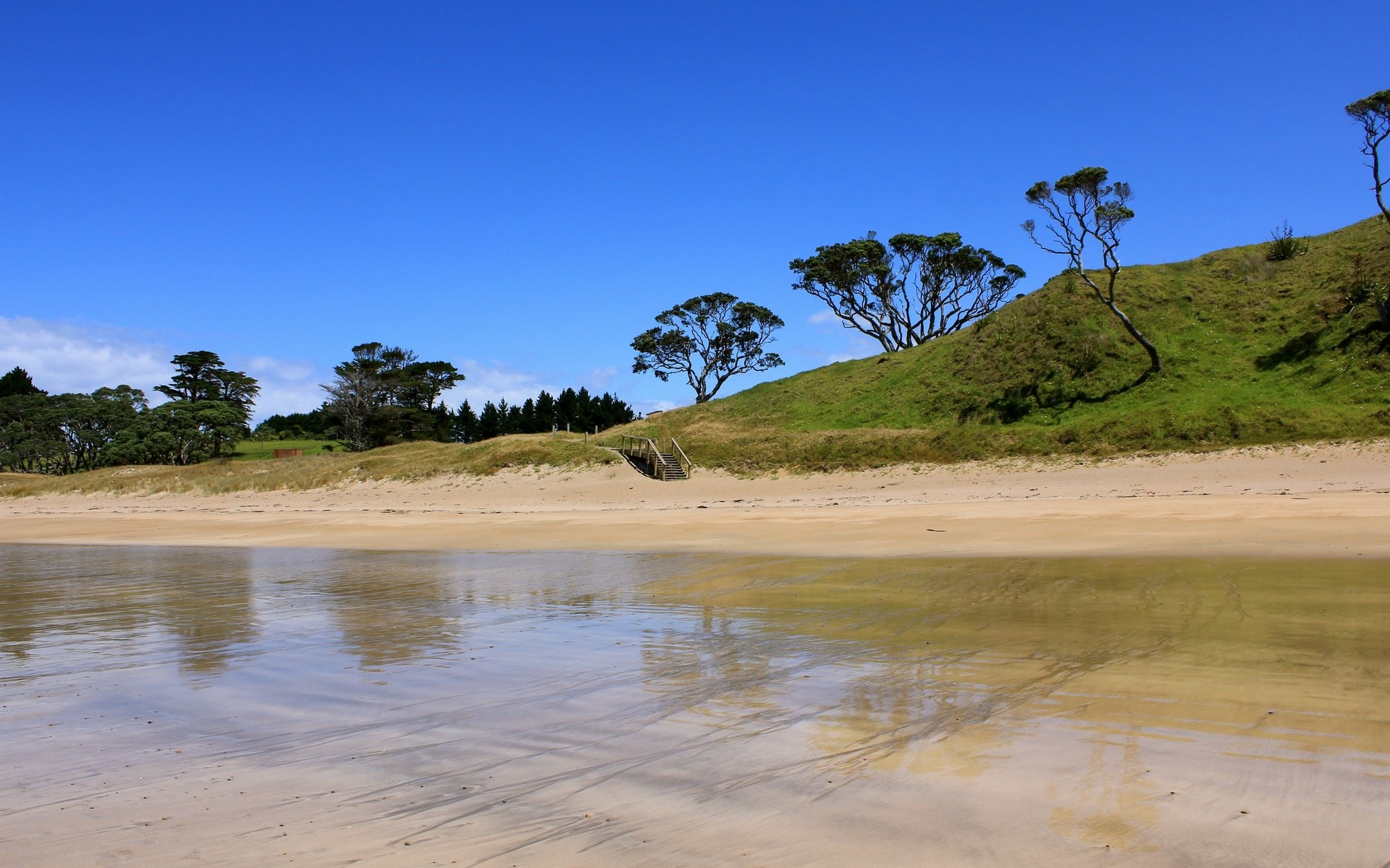 Beach with trees on a grassy hill under blue sky HD Wallpaper