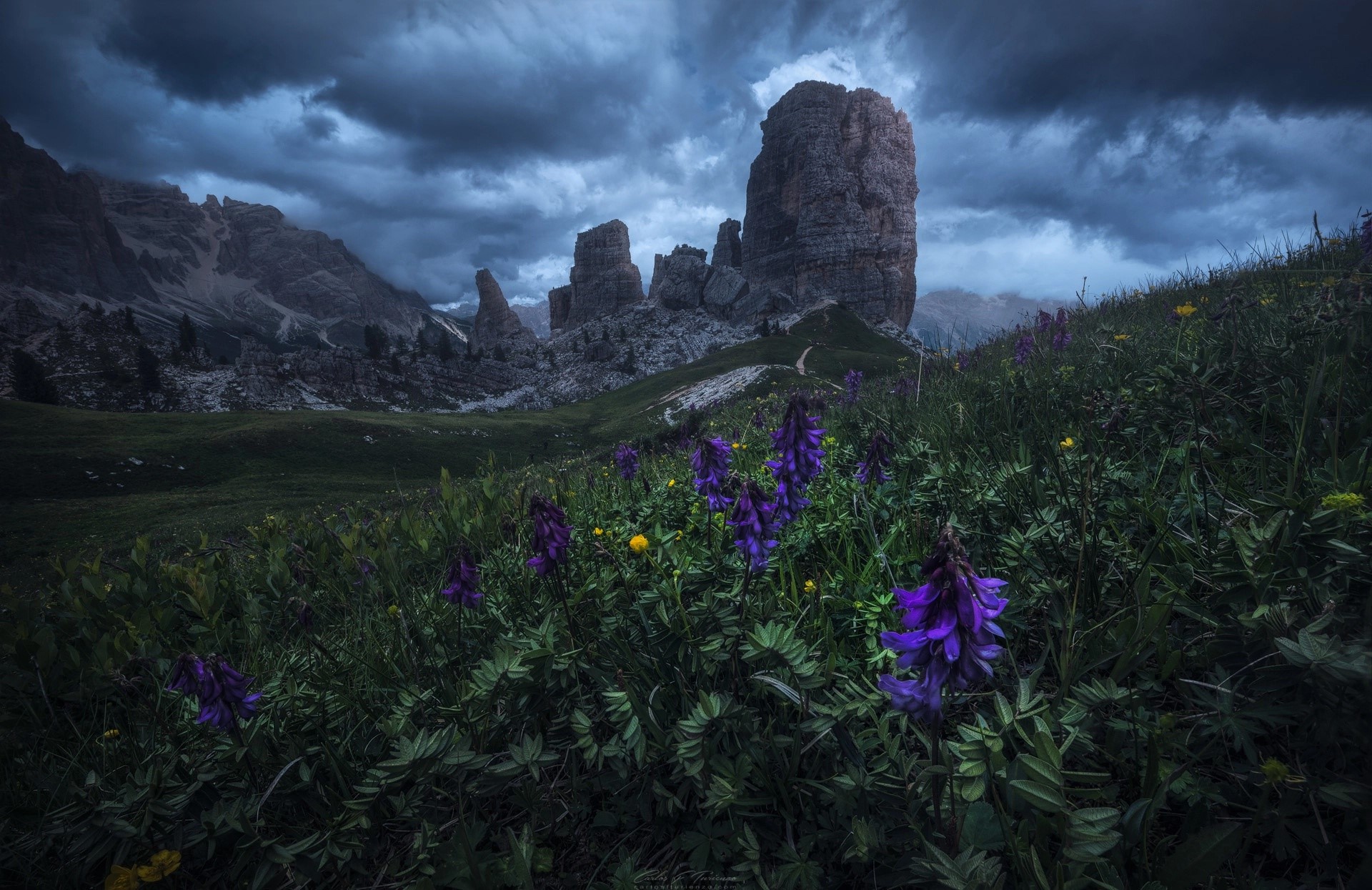 Dramatic mountain landscape with purple flowers HD Wallpaper