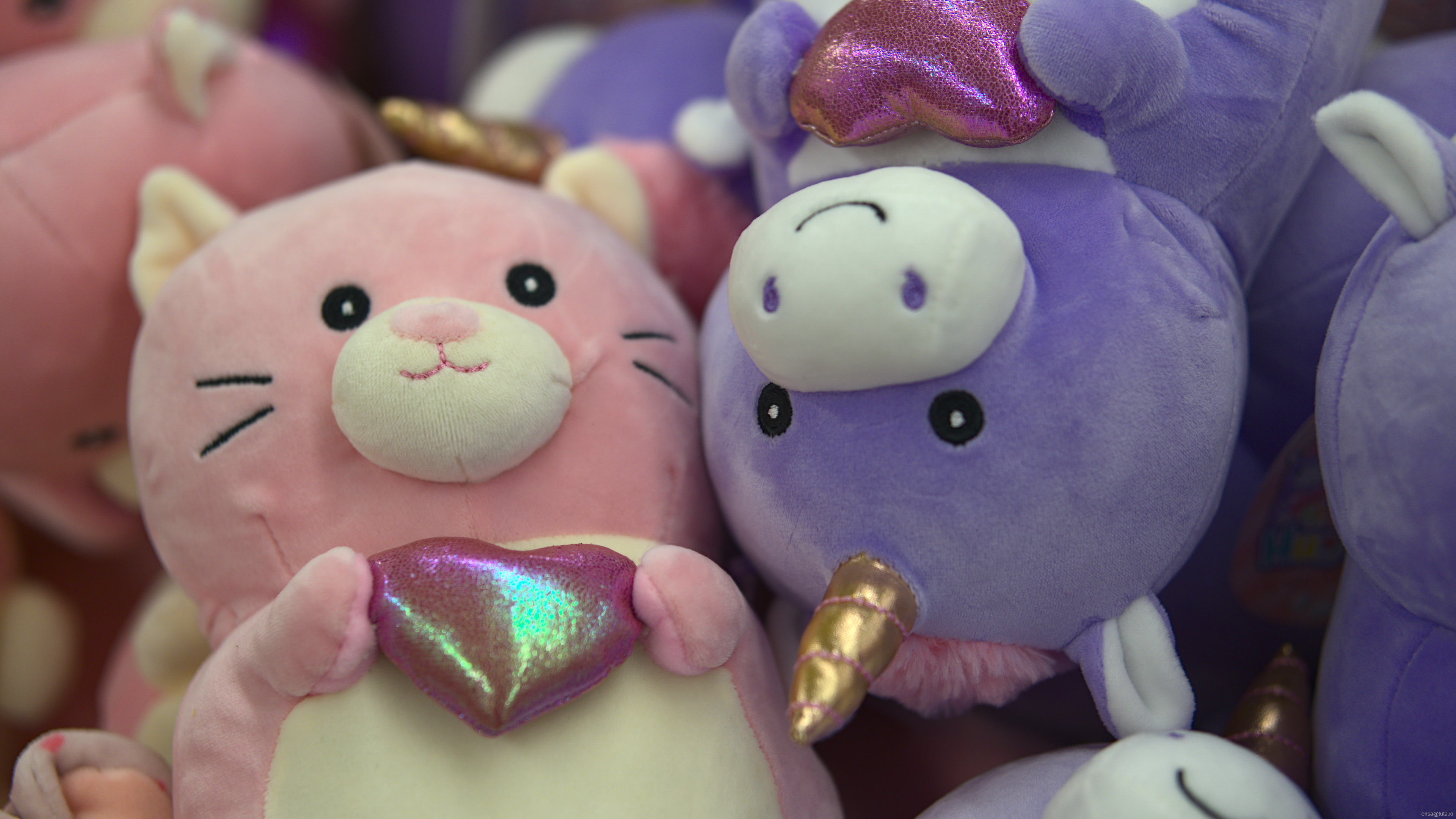 Pink cat and purple unicorn plush toys HD Wallpaper