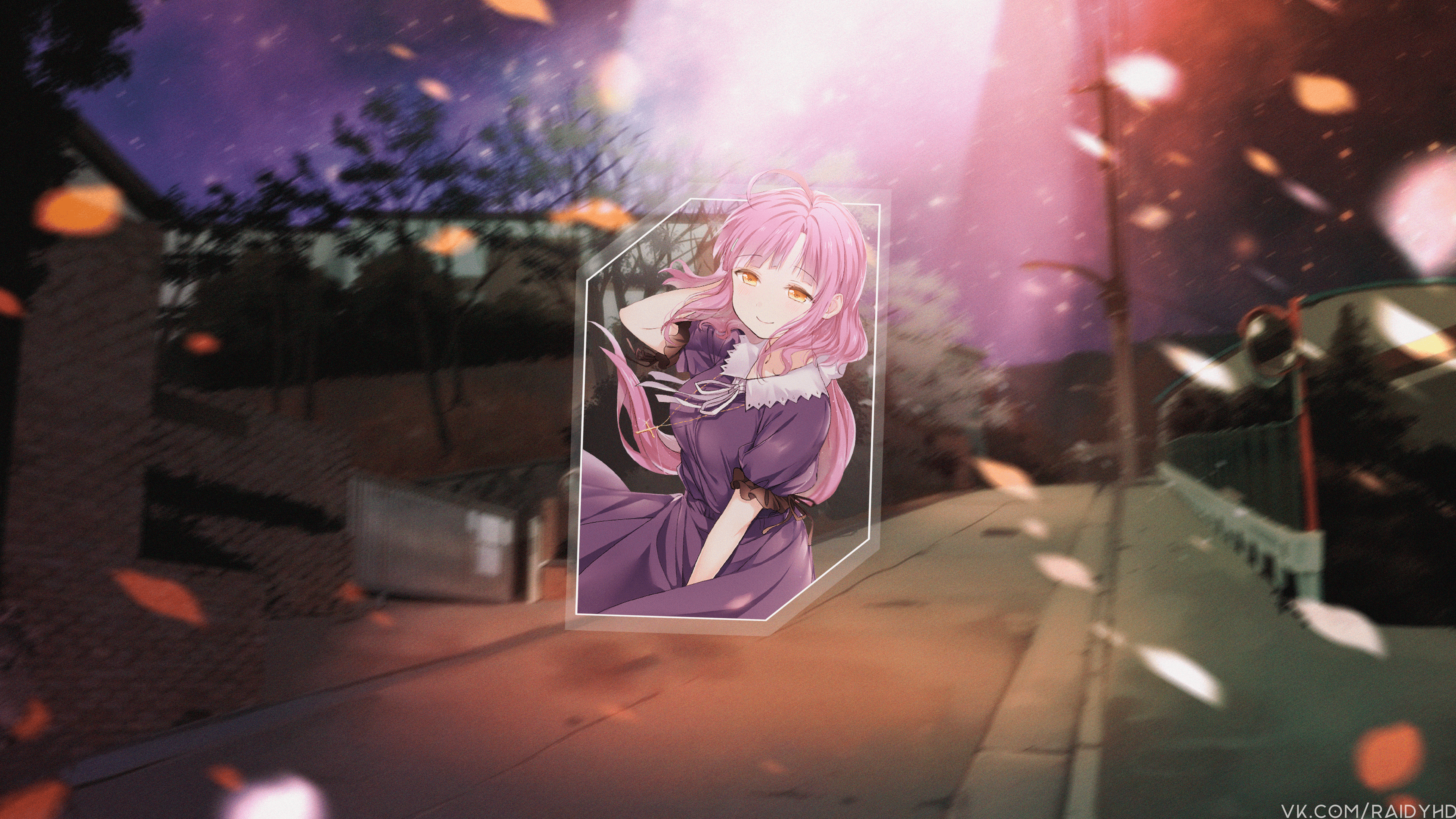 4K Sakura Megumi from Anime HD Wallpaper