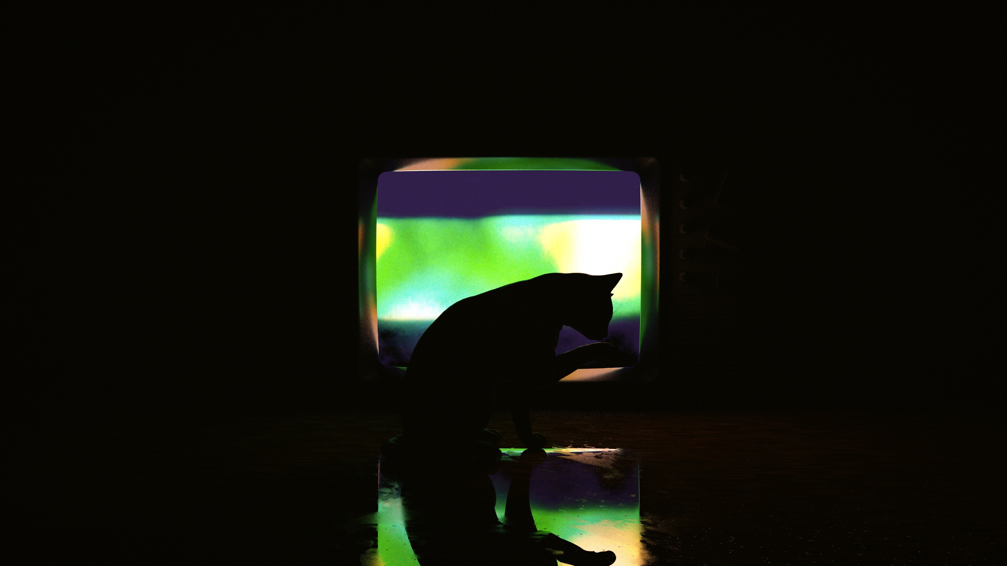 Silhouette of a cat in front of a television HD Wallpaper