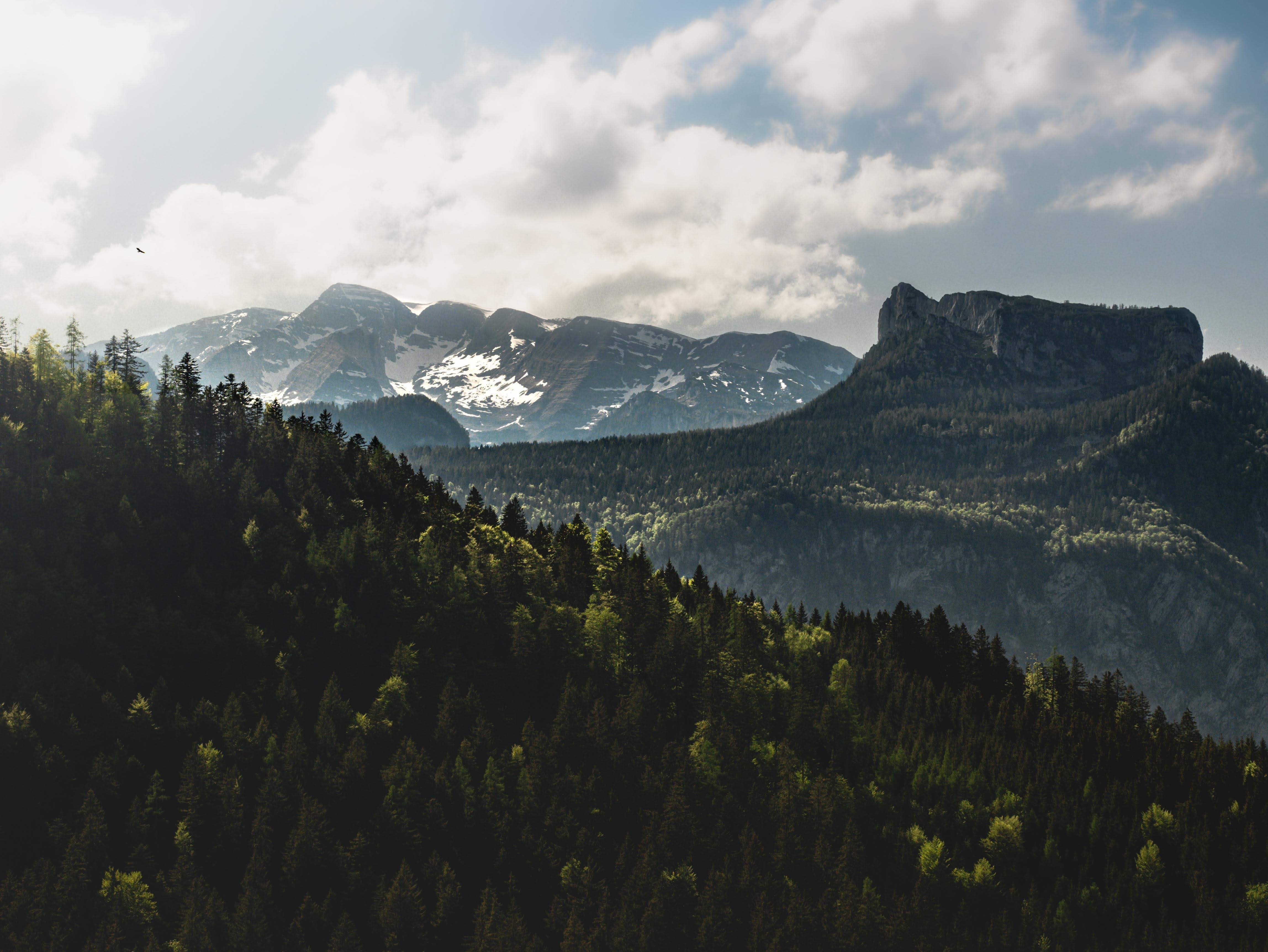 Mountains and forest landscape with clouds HD Wallpaper