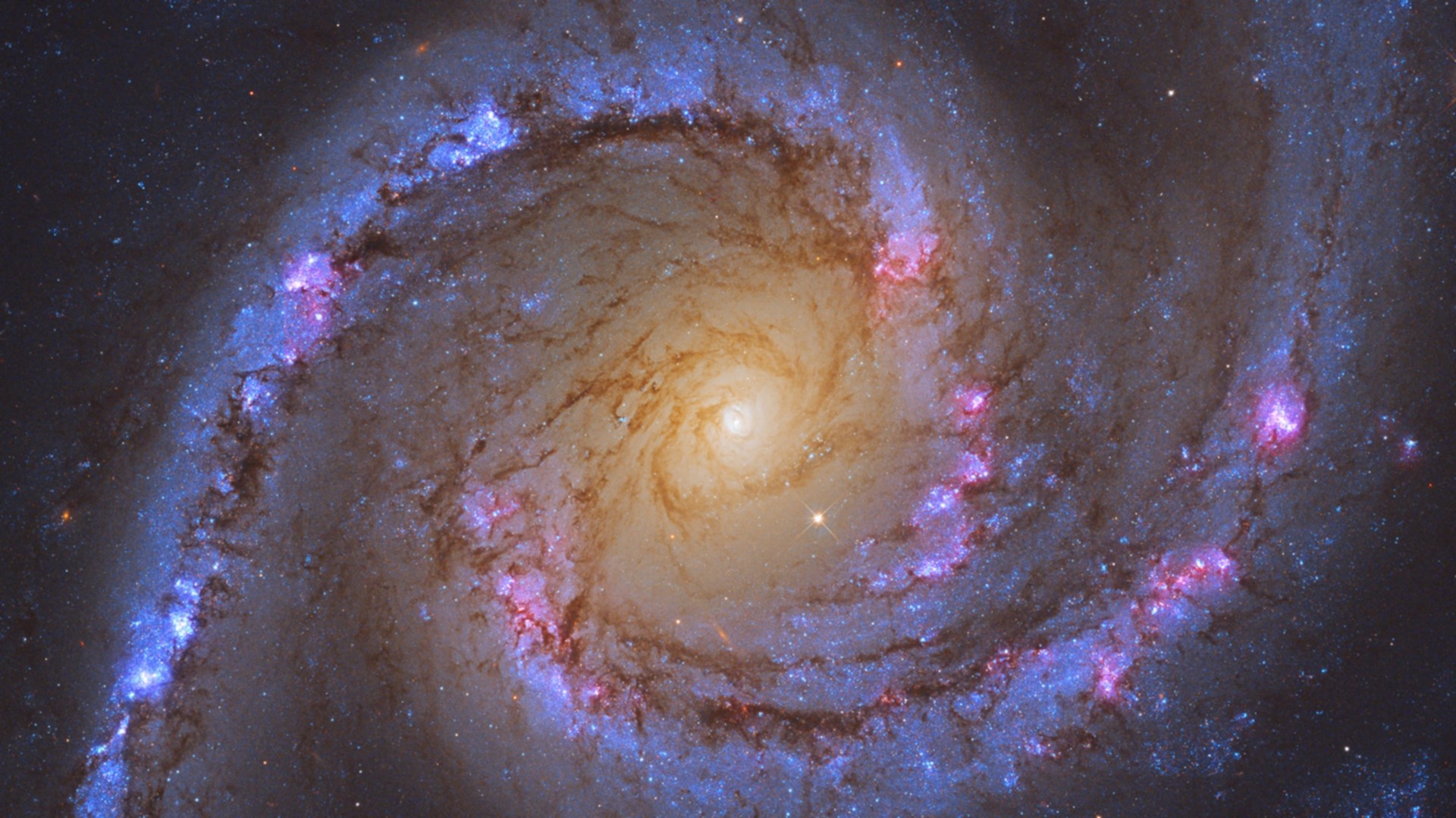 Spiral Galaxy with Starburst Regions HD Wallpaper