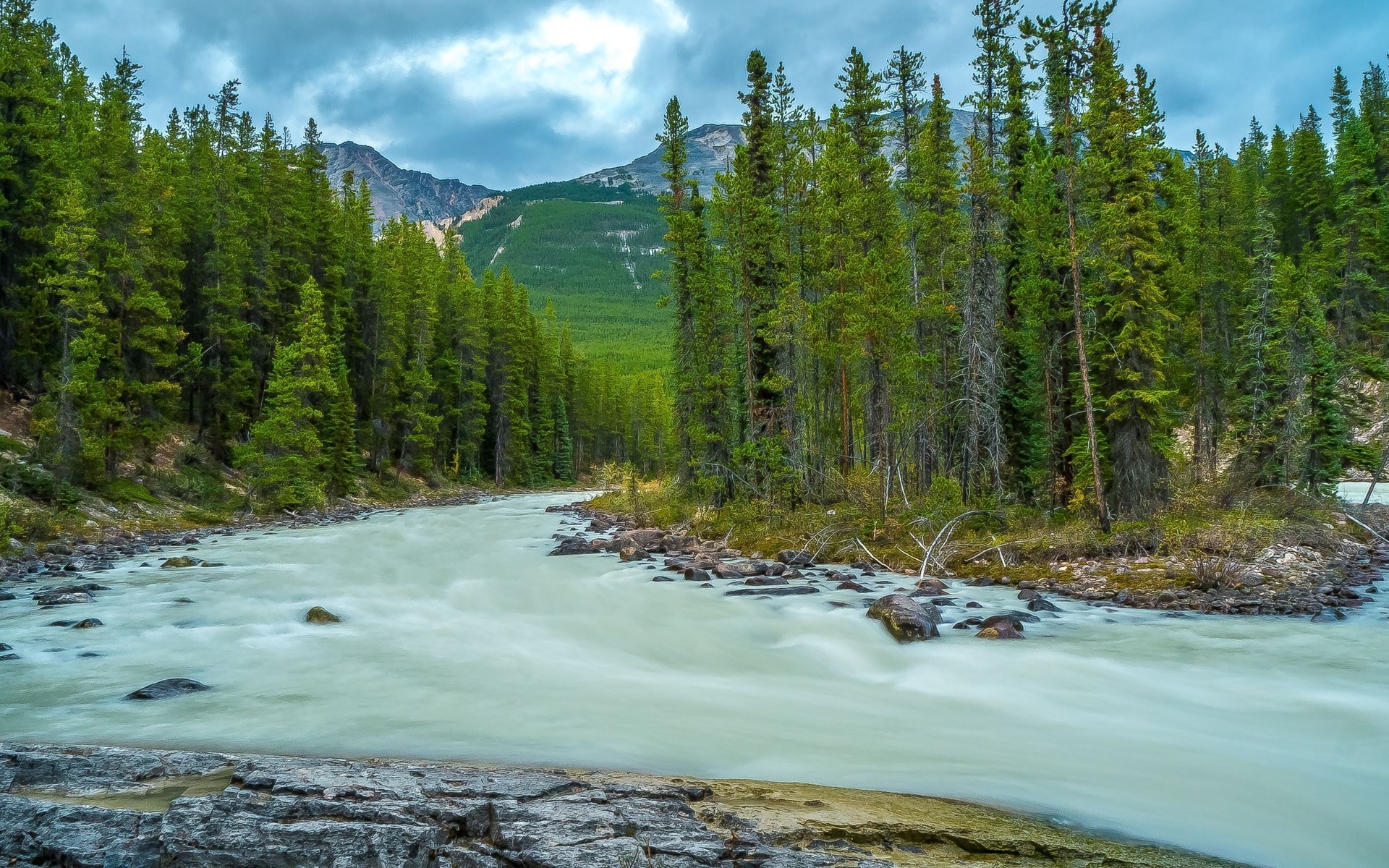 River flowing through a pine forest with mountains HD Wallpaper