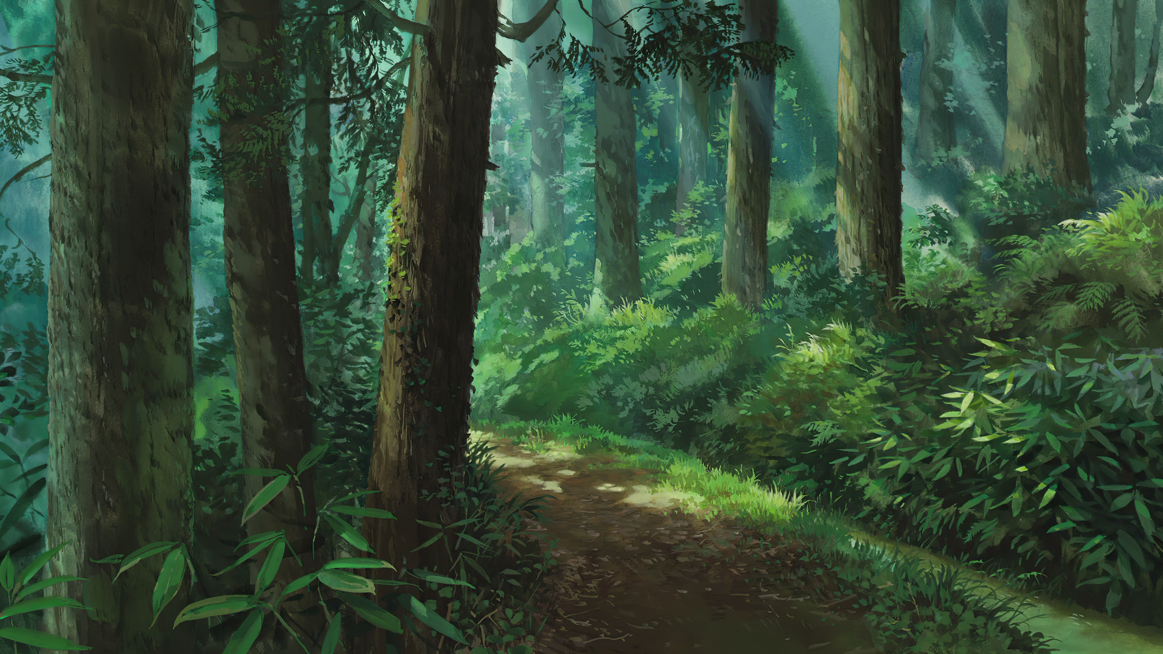 Forest path with sunlight filtering through trees HD Wallpaper
