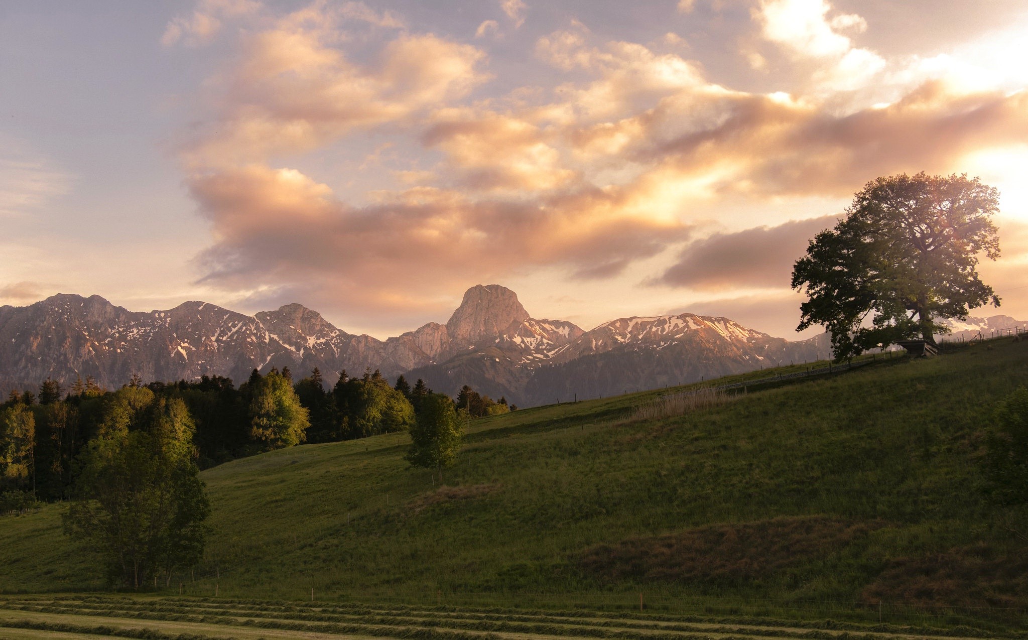 Mountain range with snow and trees at sunset HD Wallpaper