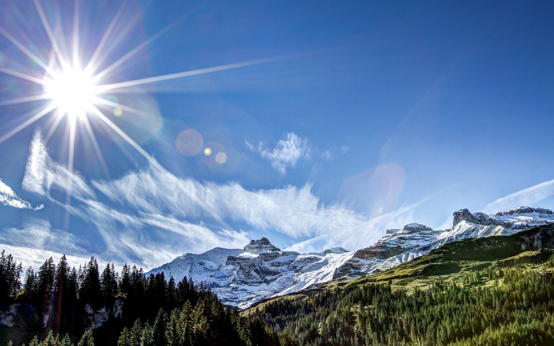 Sun shining over snow-capped mountains and pine forest HD Wallpaper