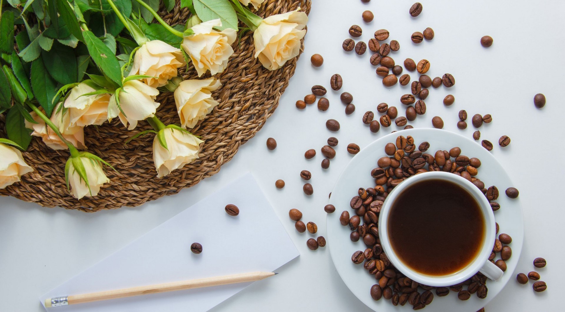 Coffee cup with roses and pencil HD Wallpaper