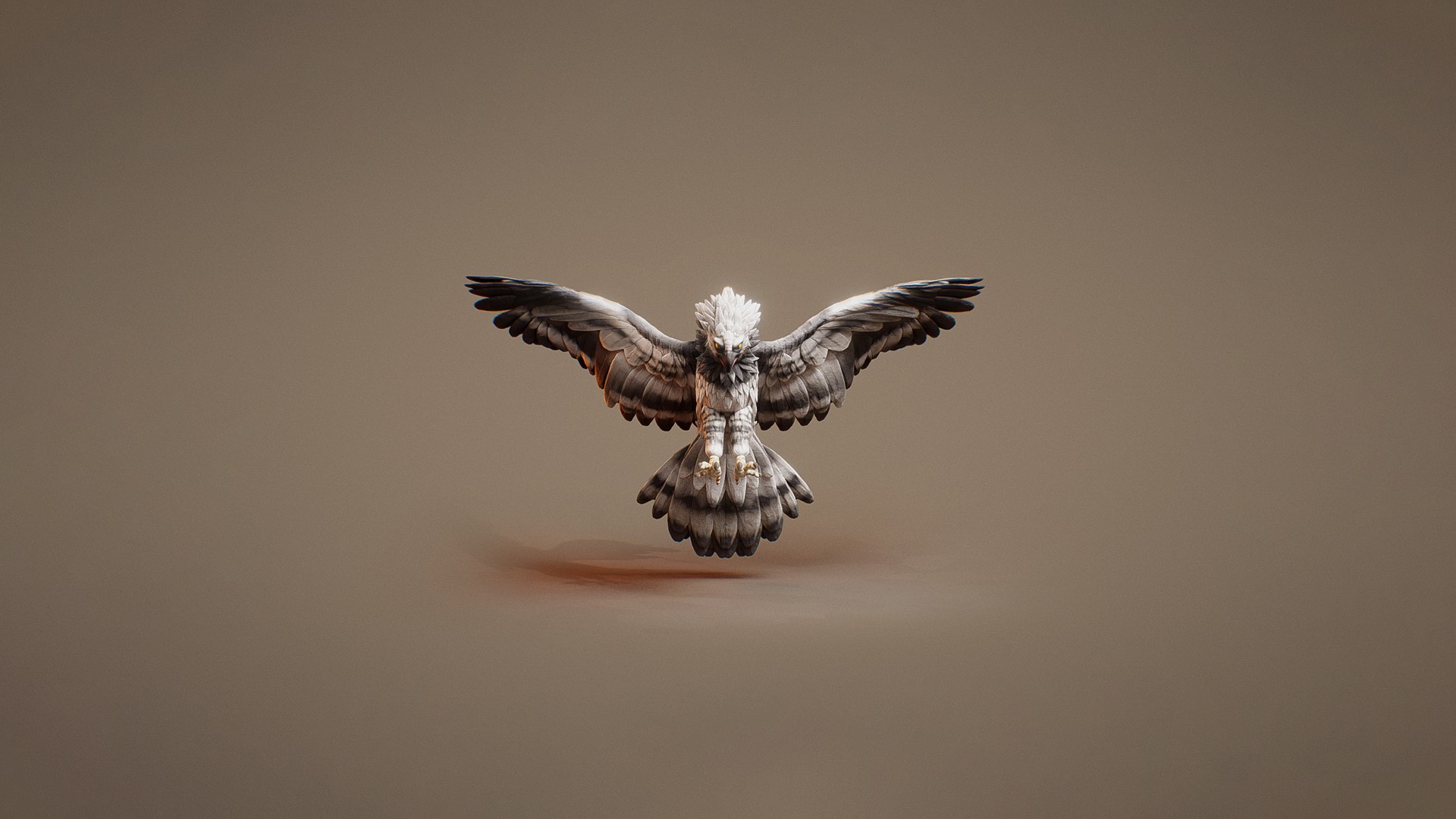 Fantasy bird of prey with wings spread HD Wallpaper