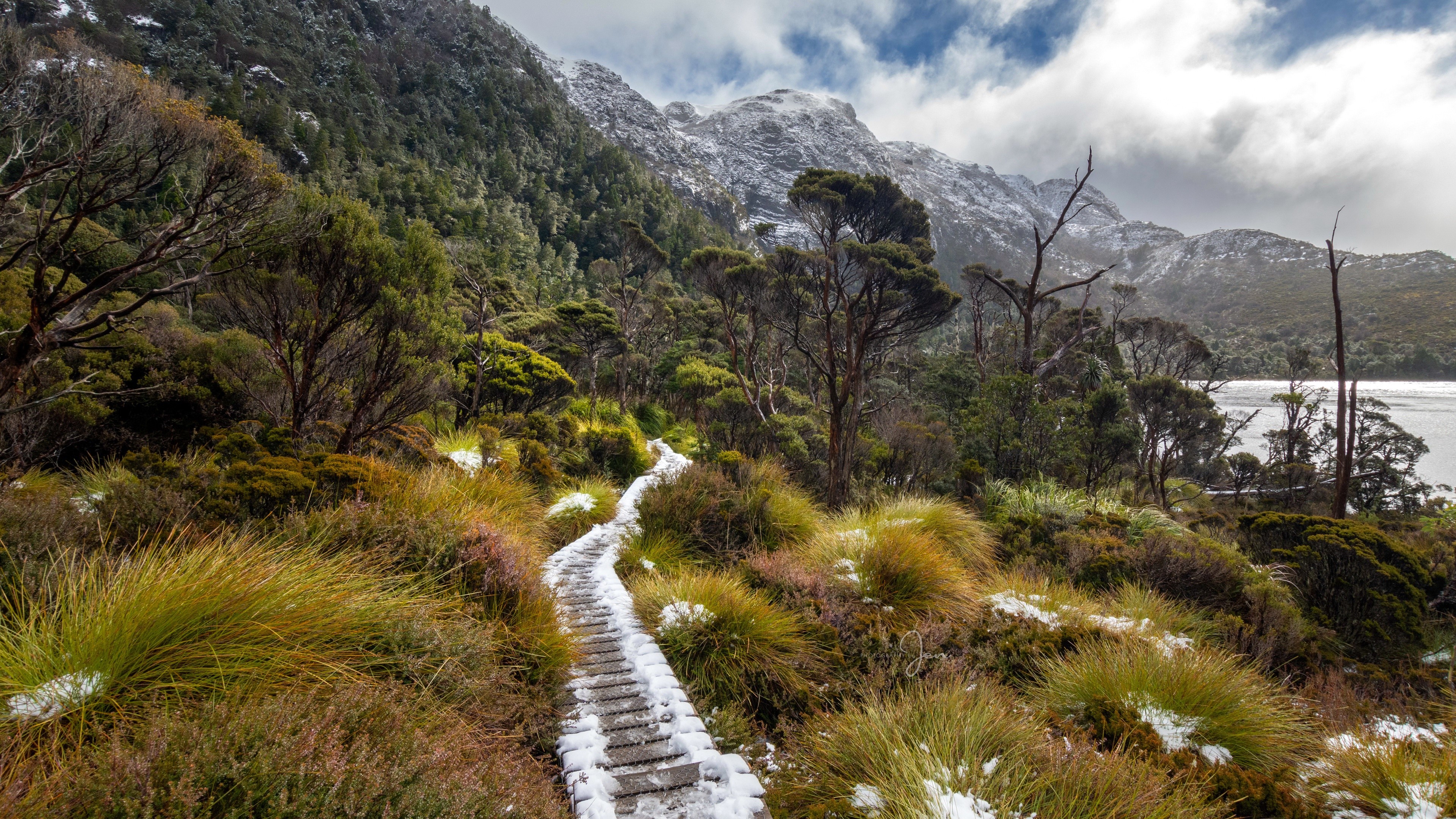 Wooden boardwalk through snowy landscape in Tasmania HD Wallpaper
