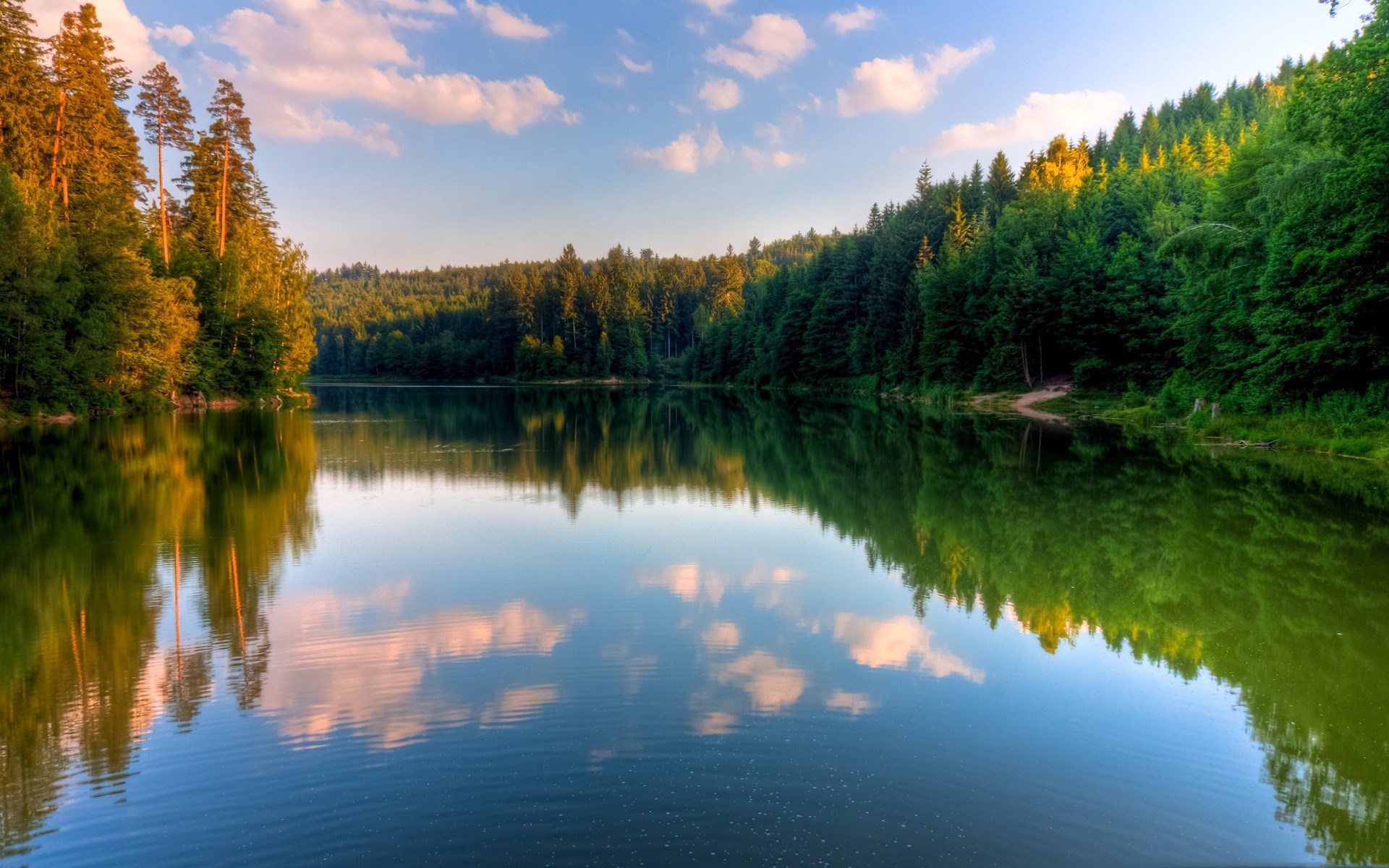 Lake and forest reflection at sunset HD Wallpaper