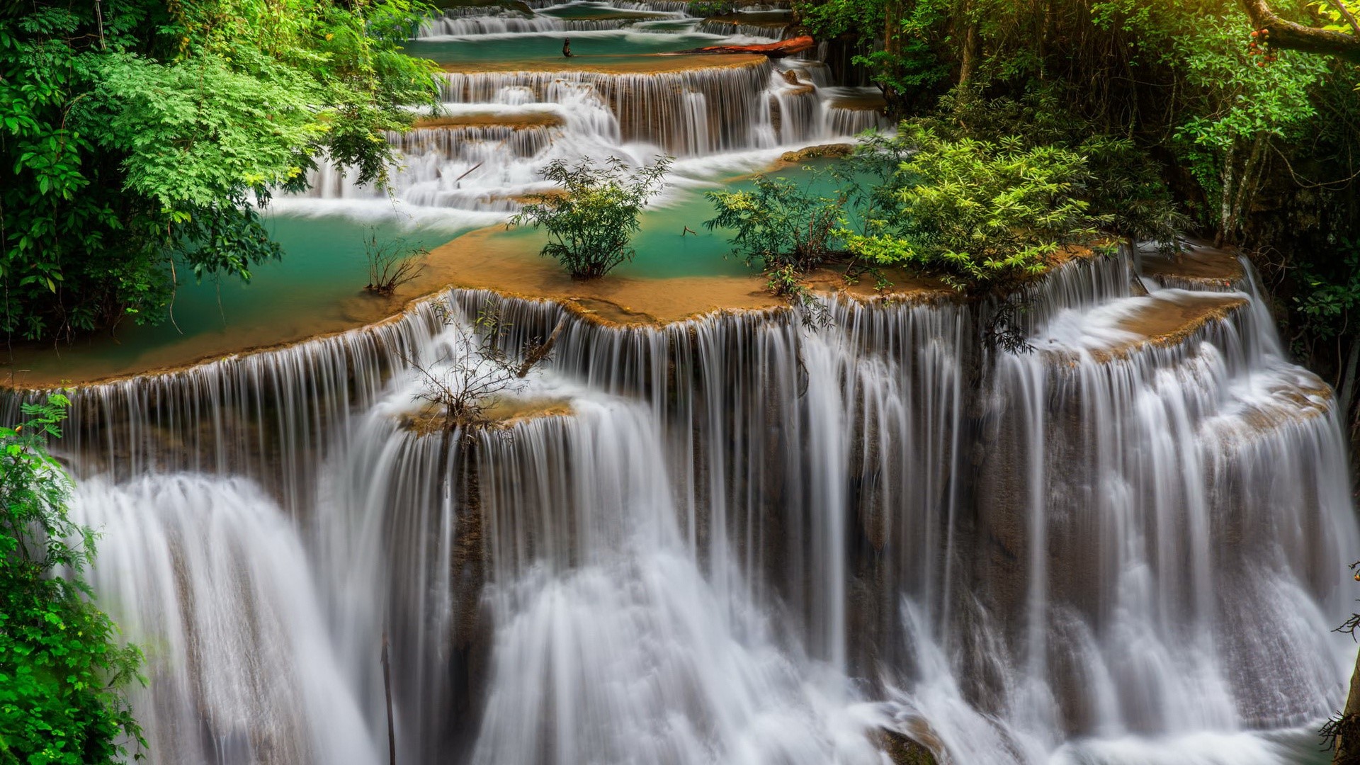 Tiered waterfall cascading through a lush green forest HD Wallpaper
