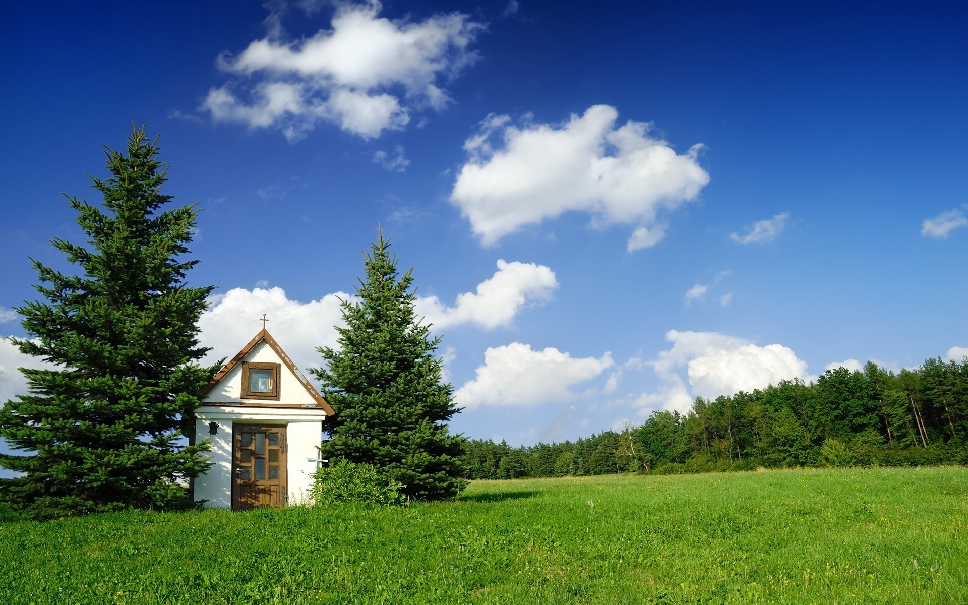 Small chapel with fir trees and a meadow HD Wallpaper