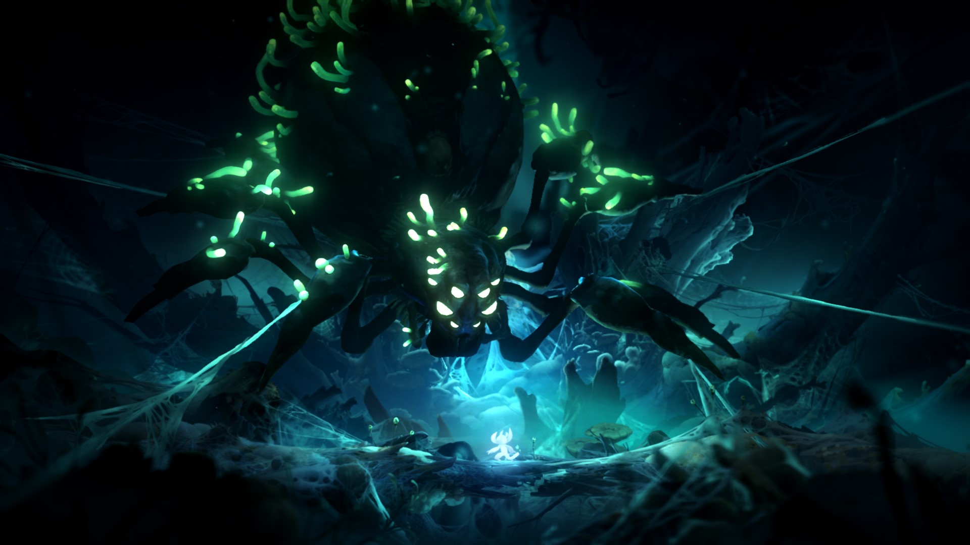 Ori from Ori and the Will of the Wisps facing a spider HD Wallpaper