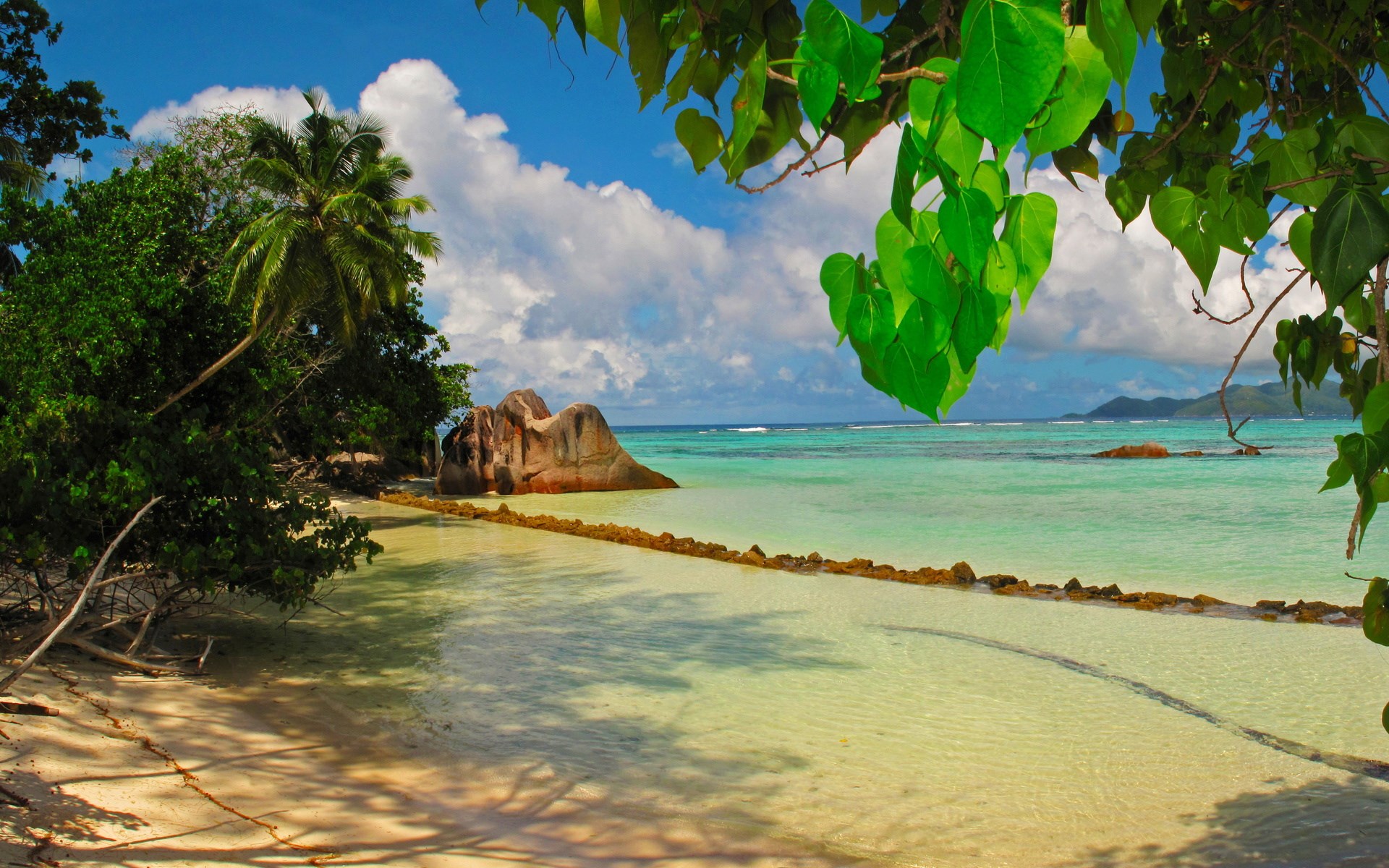 Tropical beach with granite boulders and palm trees HD Wallpaper