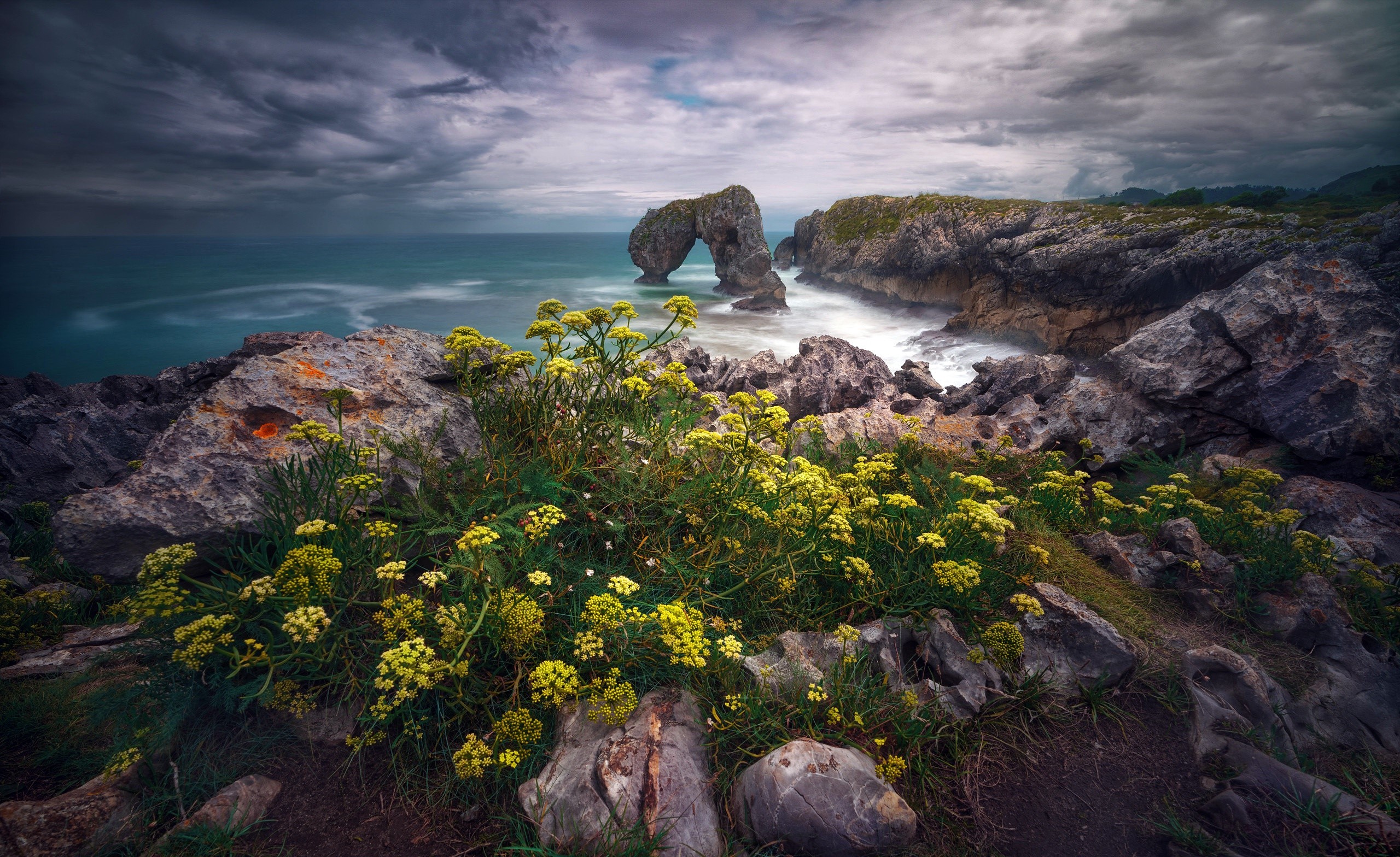 Coastal rock arch with yellow flowers in Spain HD Wallpaper