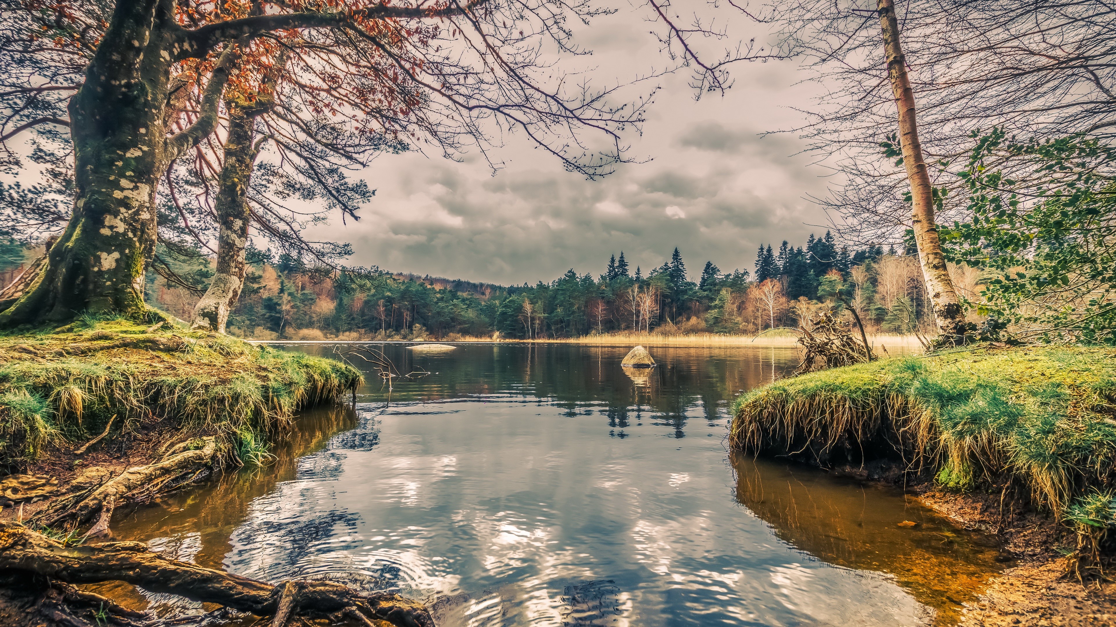 4K trees and lake in nature HD Wallpaper