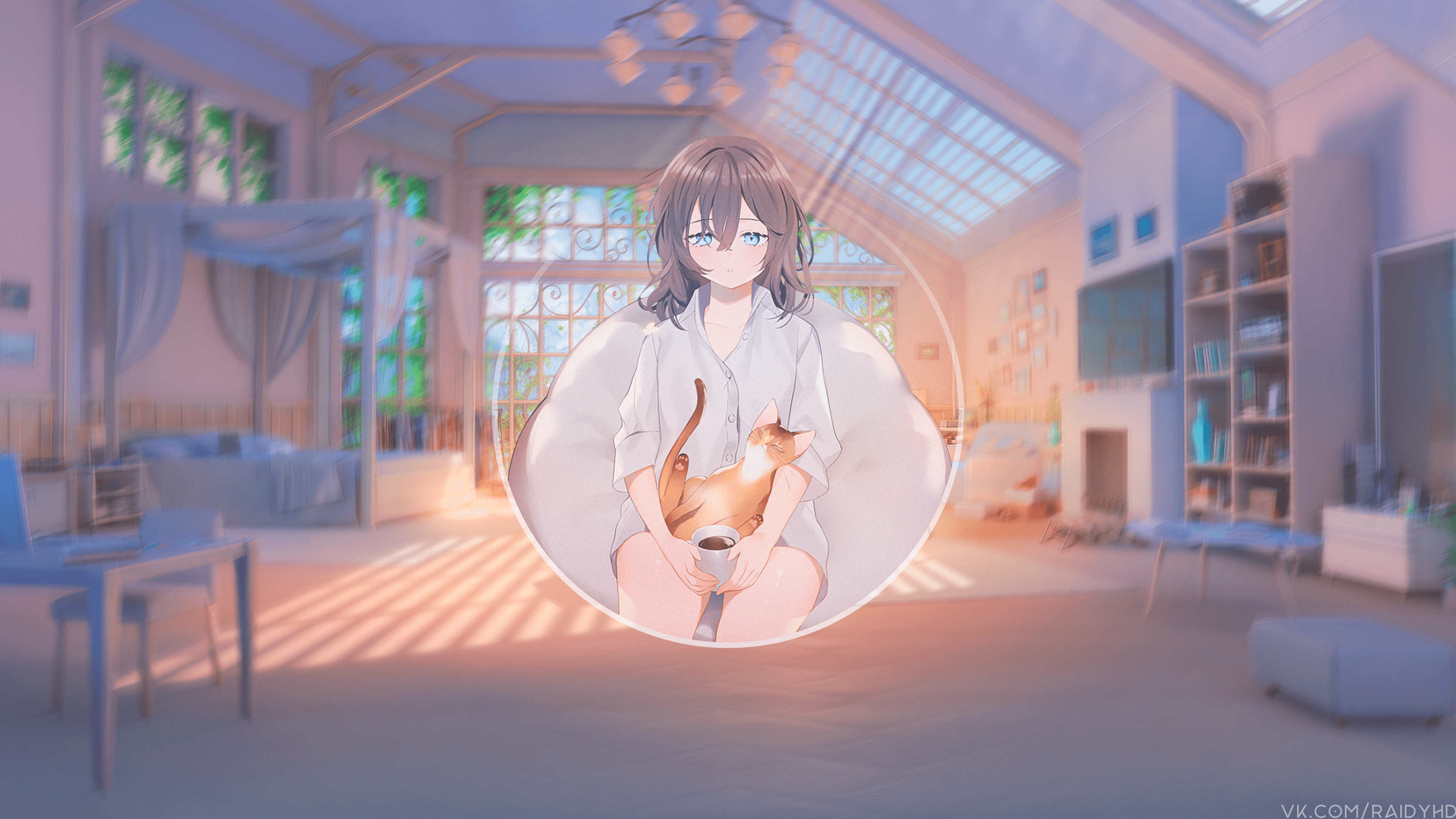 Anime girl with cat and coffee in a room HD Wallpaper