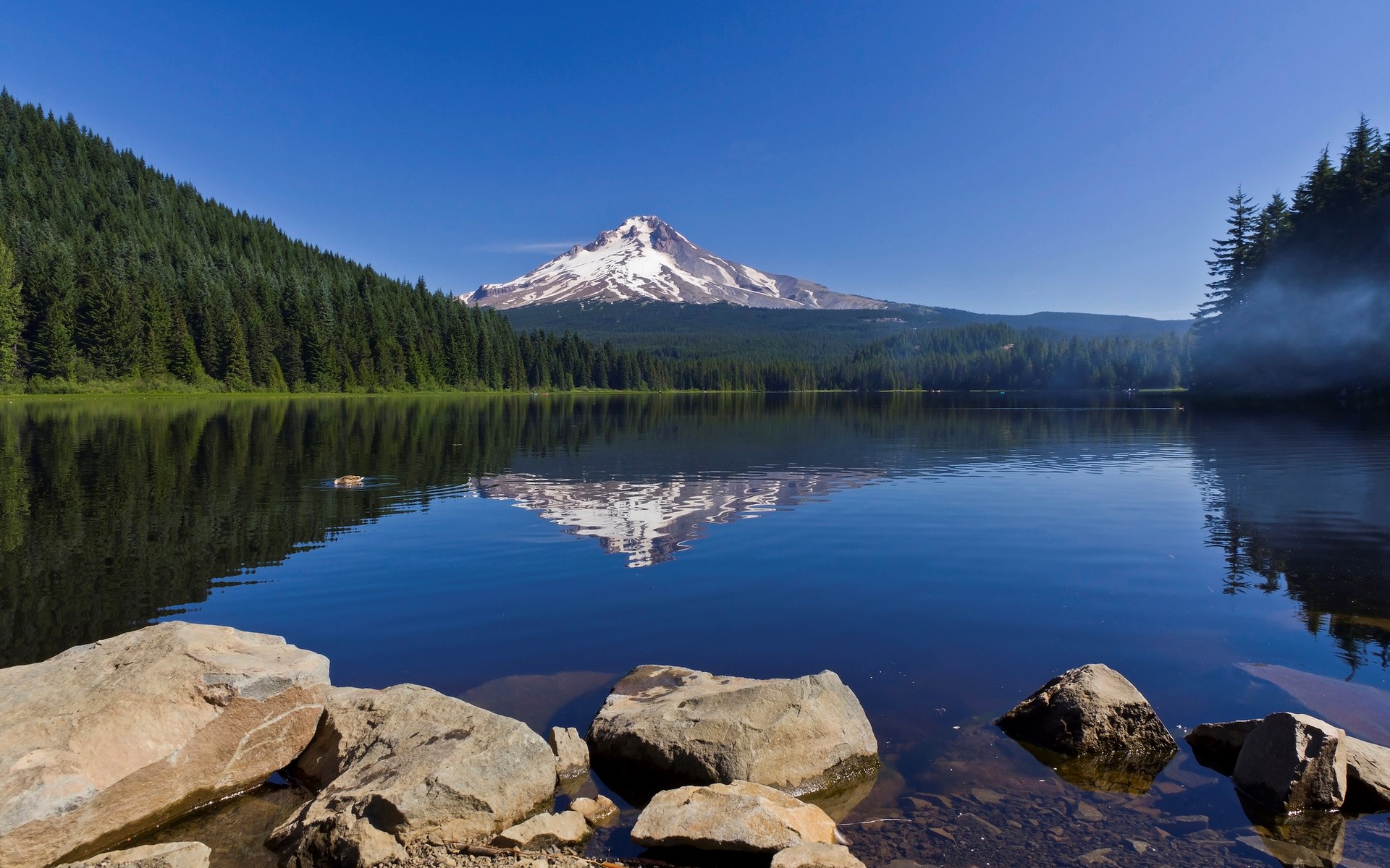 Mount Hood reflected in Trillium Lake, Oregon HD Wallpaper