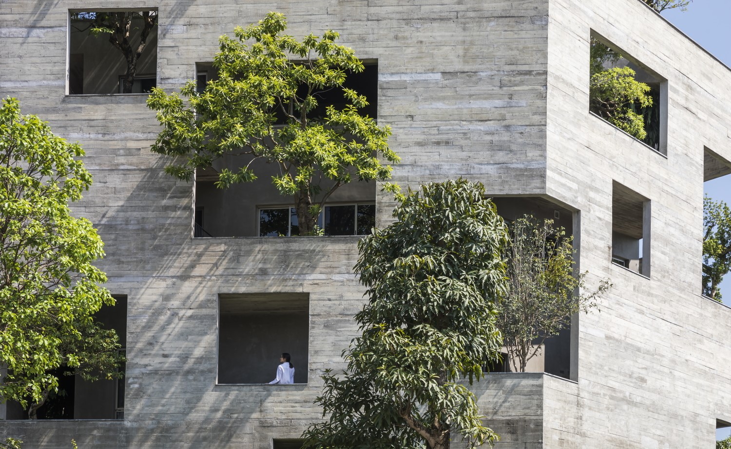 Modern concrete building with trees and a person HD Wallpaper