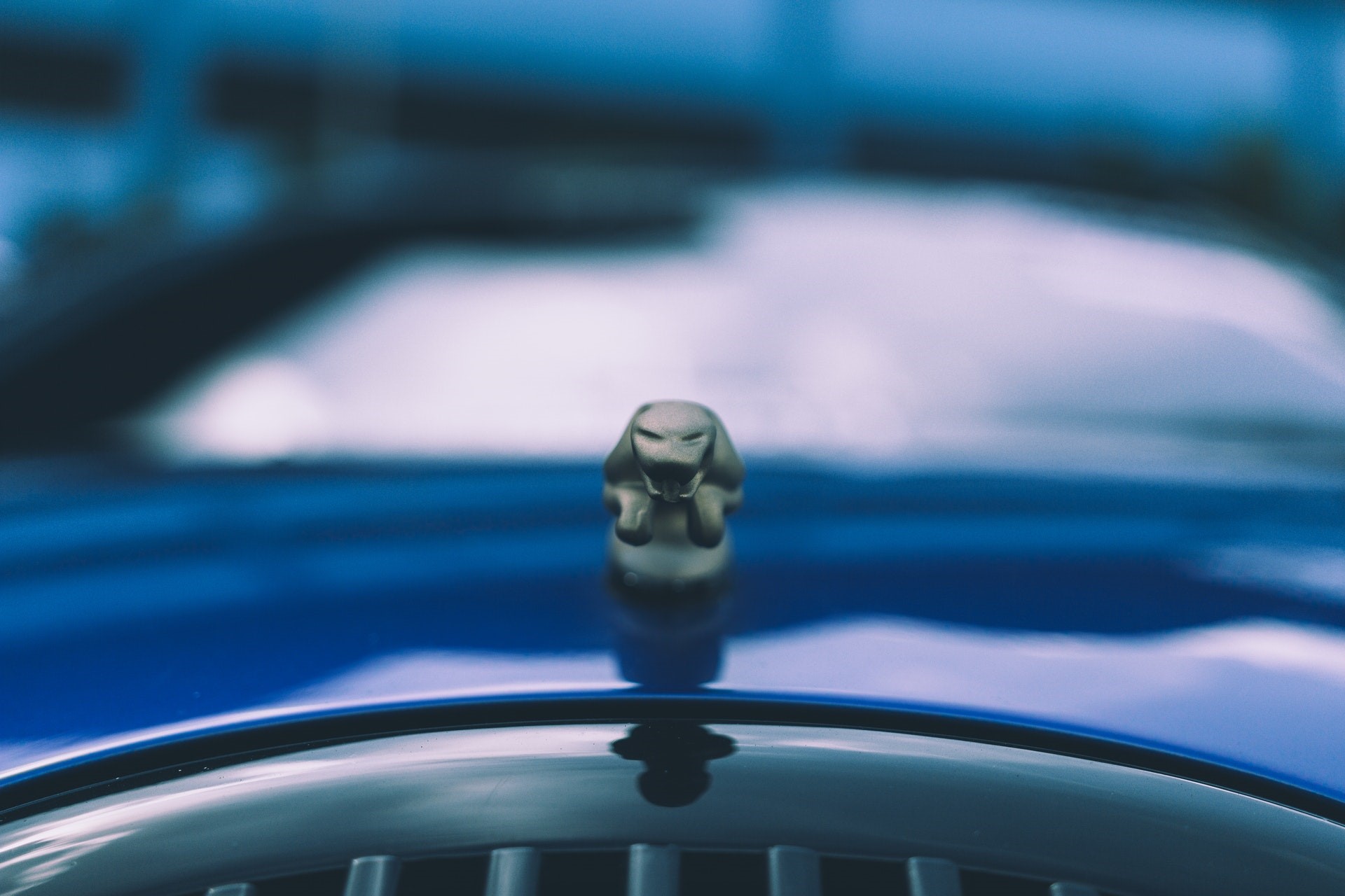 Jaguar hood ornament on a blue car HD Wallpaper