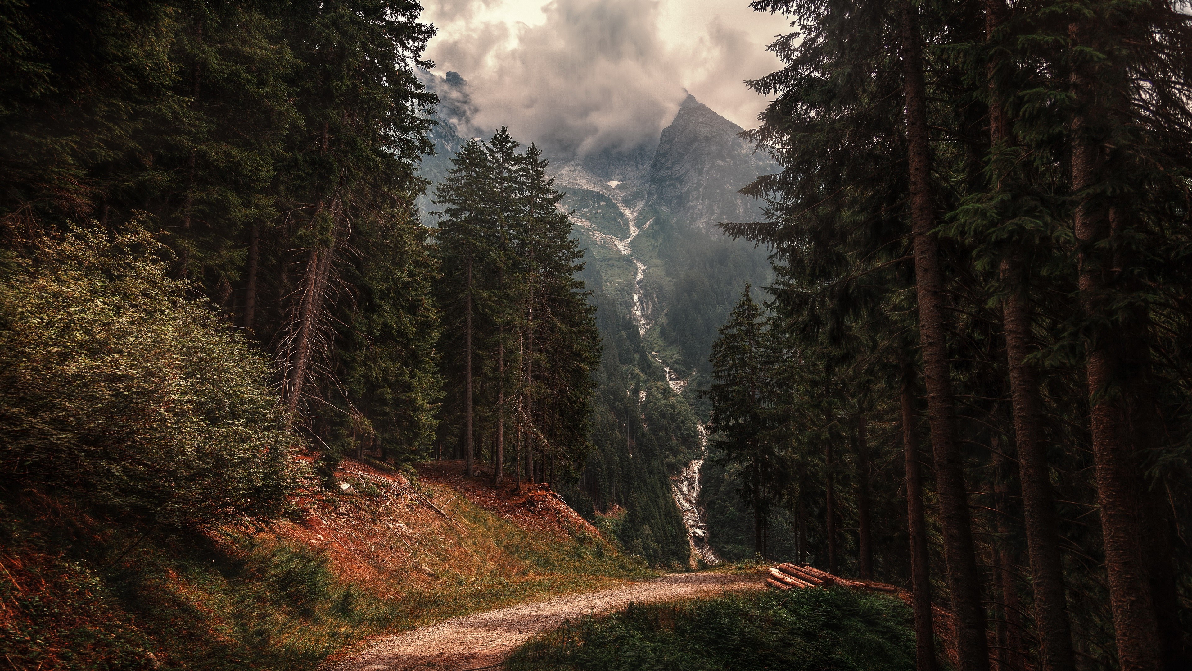 4K forest path with mountains and waterfall HD Wallpaper