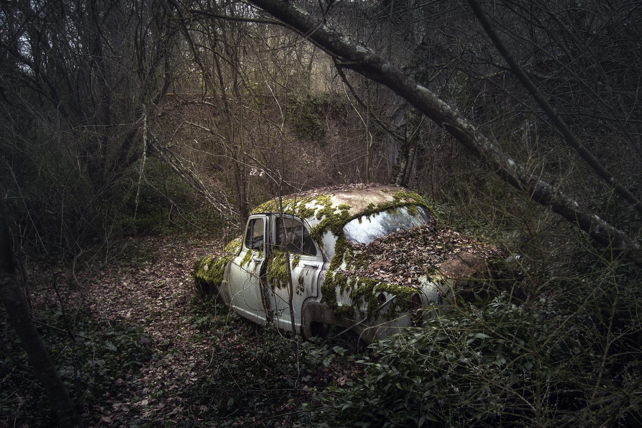 Overgrown abandoned car in a forest HD Wallpaper