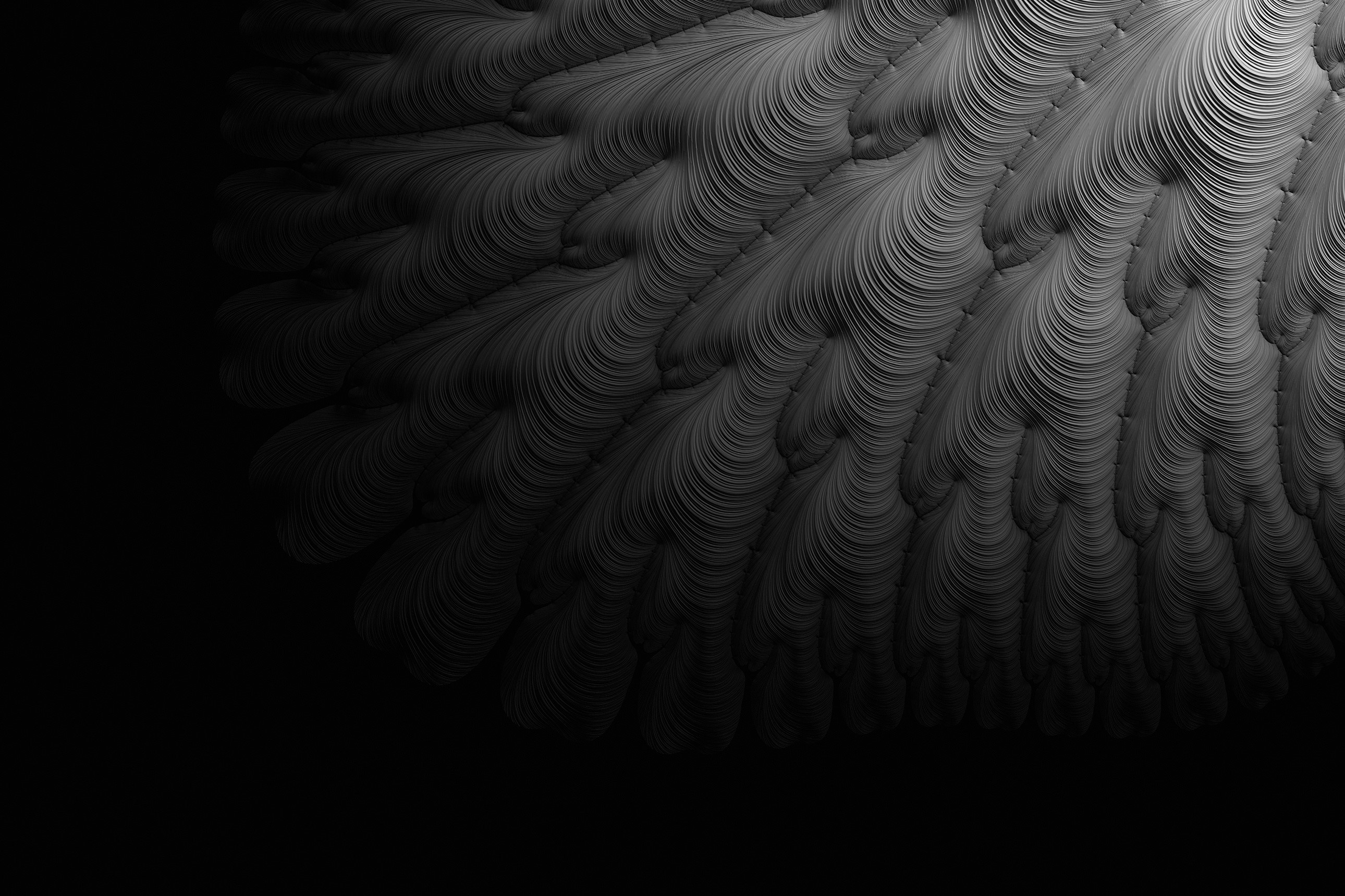 Monochrome fractal pattern by Adi Dizdarevic HD Wallpaper