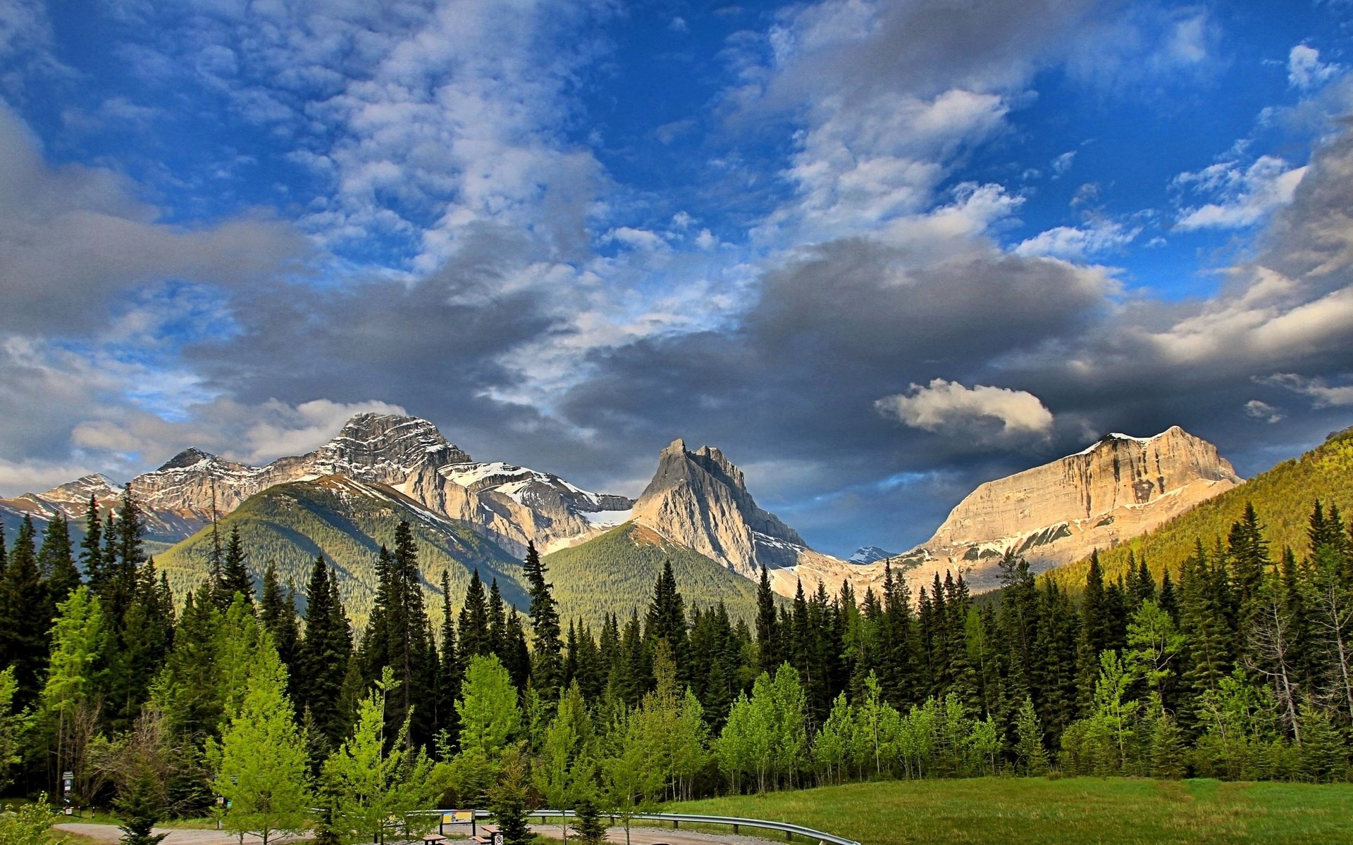 Mountain range with pine forest and dramatic clouds HD Wallpaper