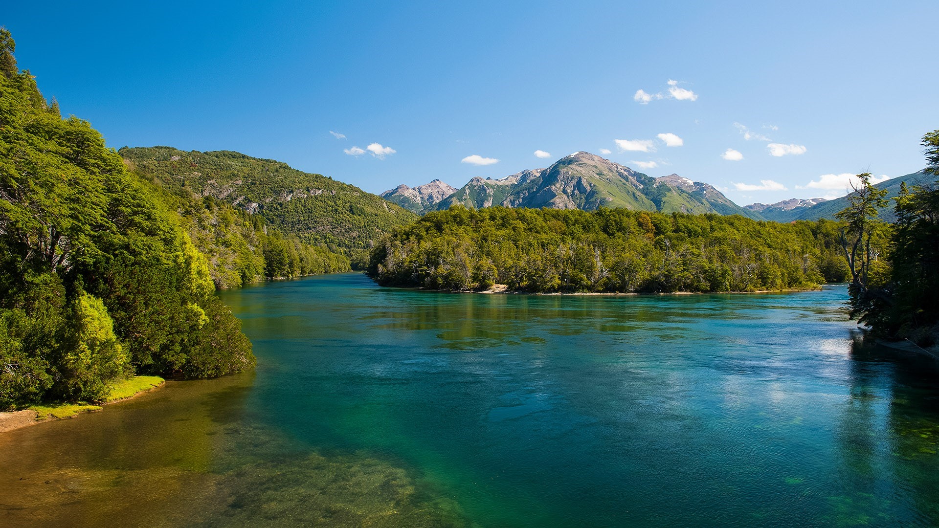 River flowing through a forest with mountains in Argentina HD Wallpaper